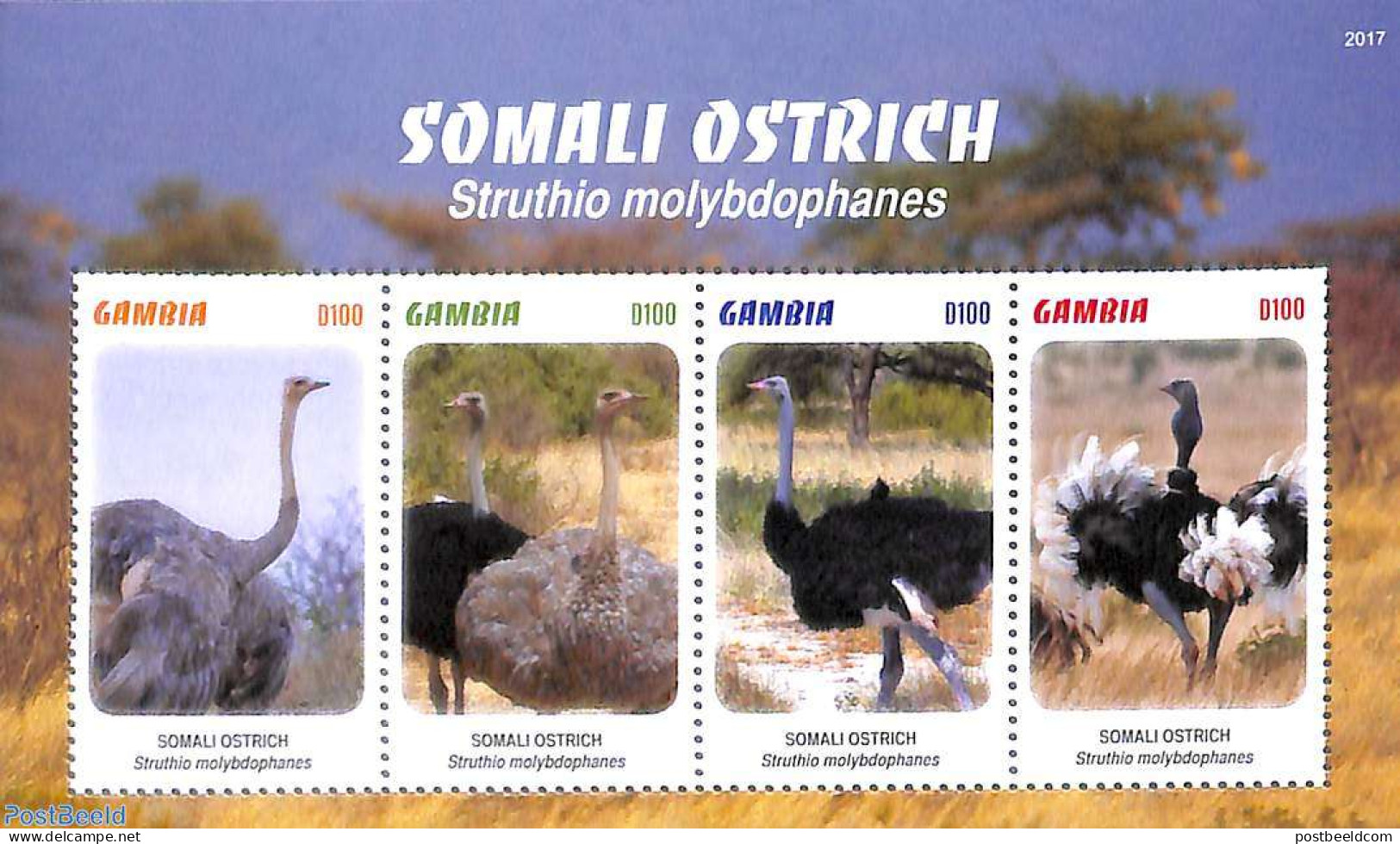 Gambia 2020 Somali Ostrich 4v M/s, Mint NH, Nature - Birds - Gambia (...-1964)