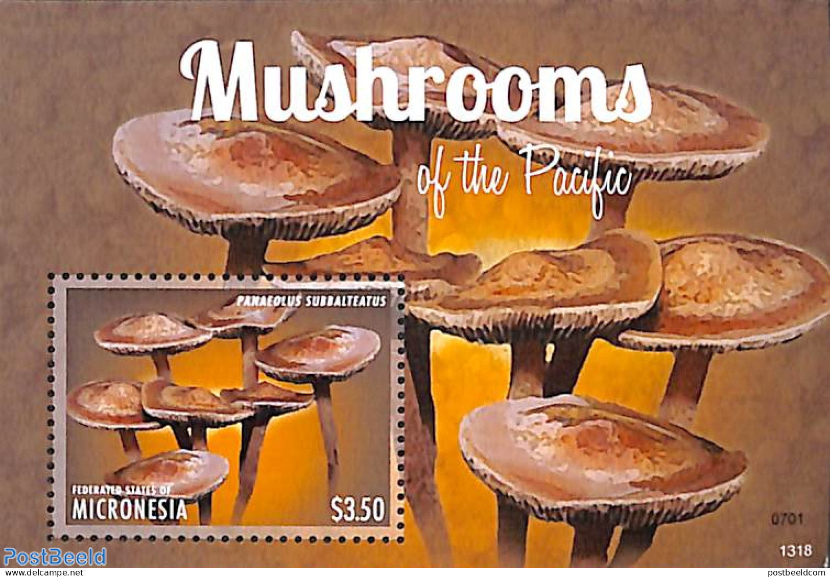 Micronesia 2013 Panaeolus Subbalteatus S/s, Mint NH, Nature - Mushrooms - Mushrooms