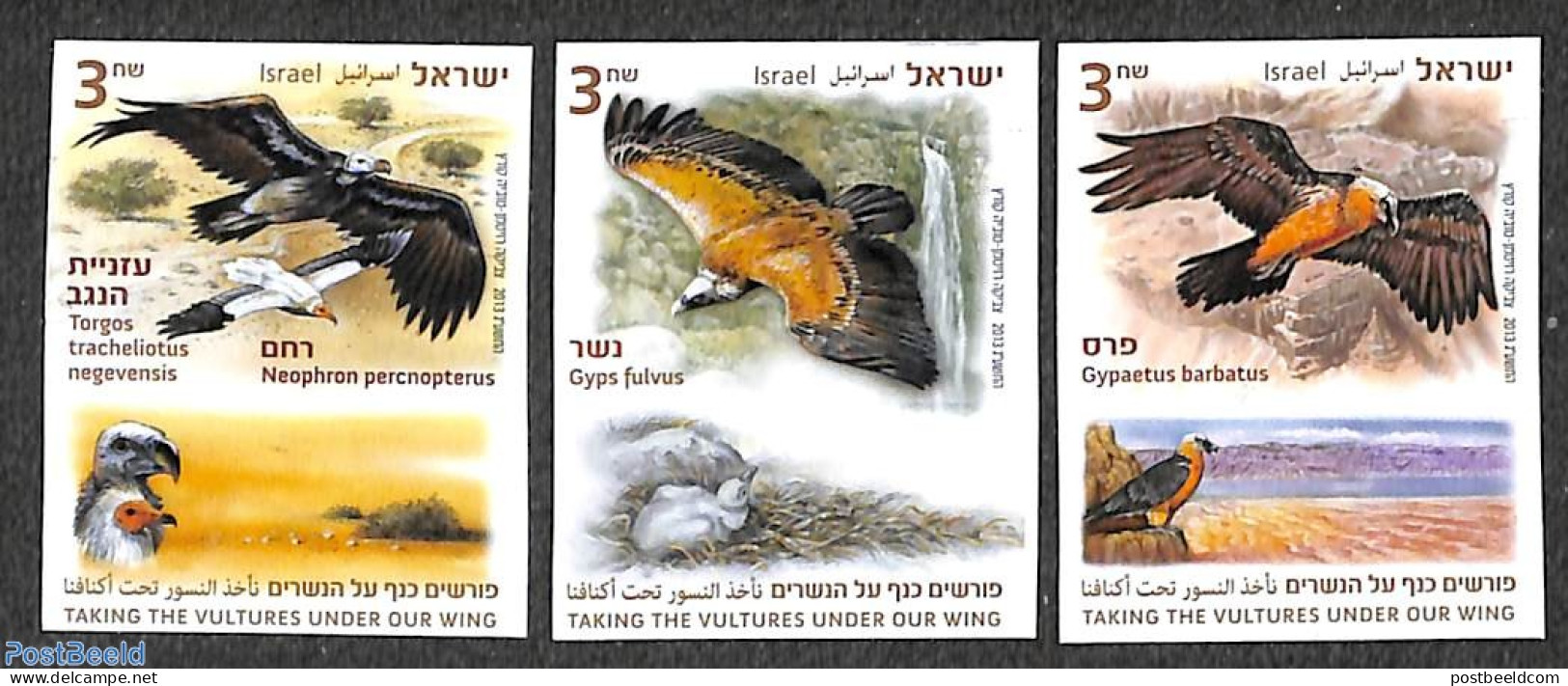 Israel 2013 Vultures 3v, Imperforated, Mint NH, Nature - Birds - Birds Of Prey - Nuevos (con Tab)