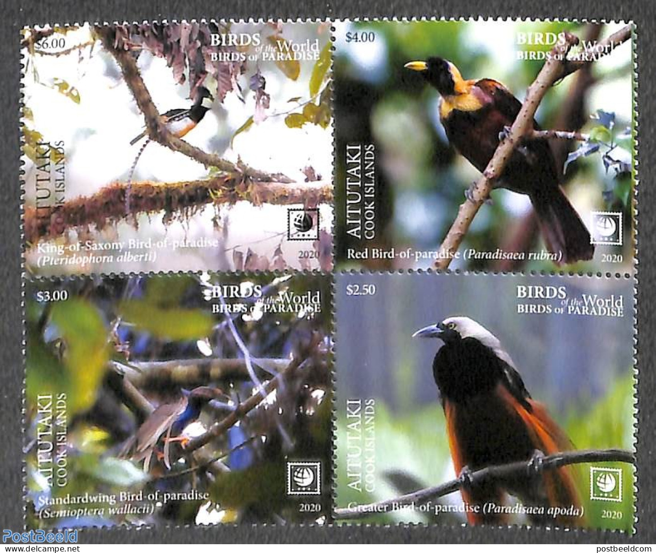 Aitutaki 2020 Paradise Birds 4v [+], Mint NH, Nature - Birds - Aitutaki