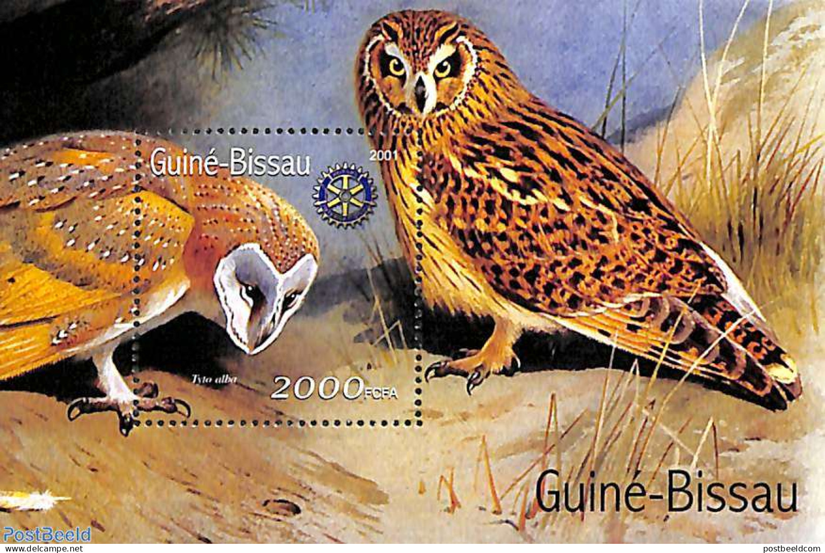 Guinea Bissau 2001 Owls, Rotary S/s, Mint NH, Nature - Various - Birds - Owls - Rotary - Rotary Club