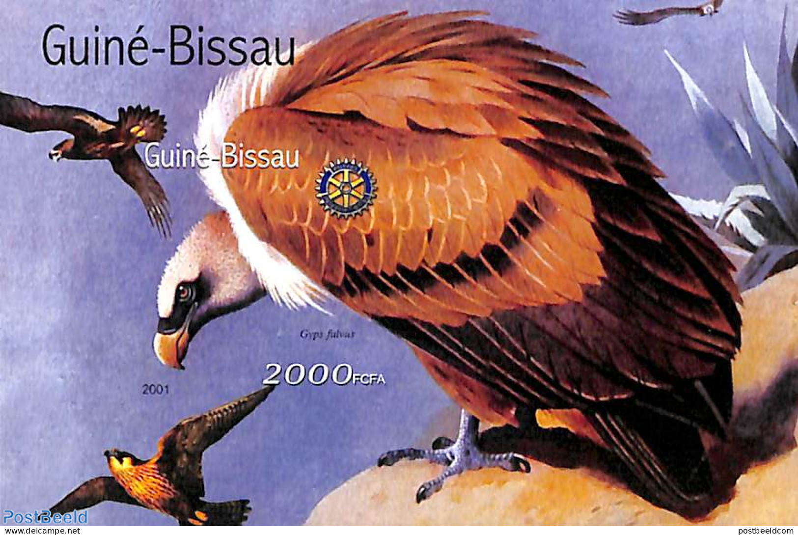 Guinea Bissau 2001 Vulture, Rotary S/s, Imperforated, Mint NH, Nature - Various - Birds - Birds Of Prey - Rotary - Rotary Club