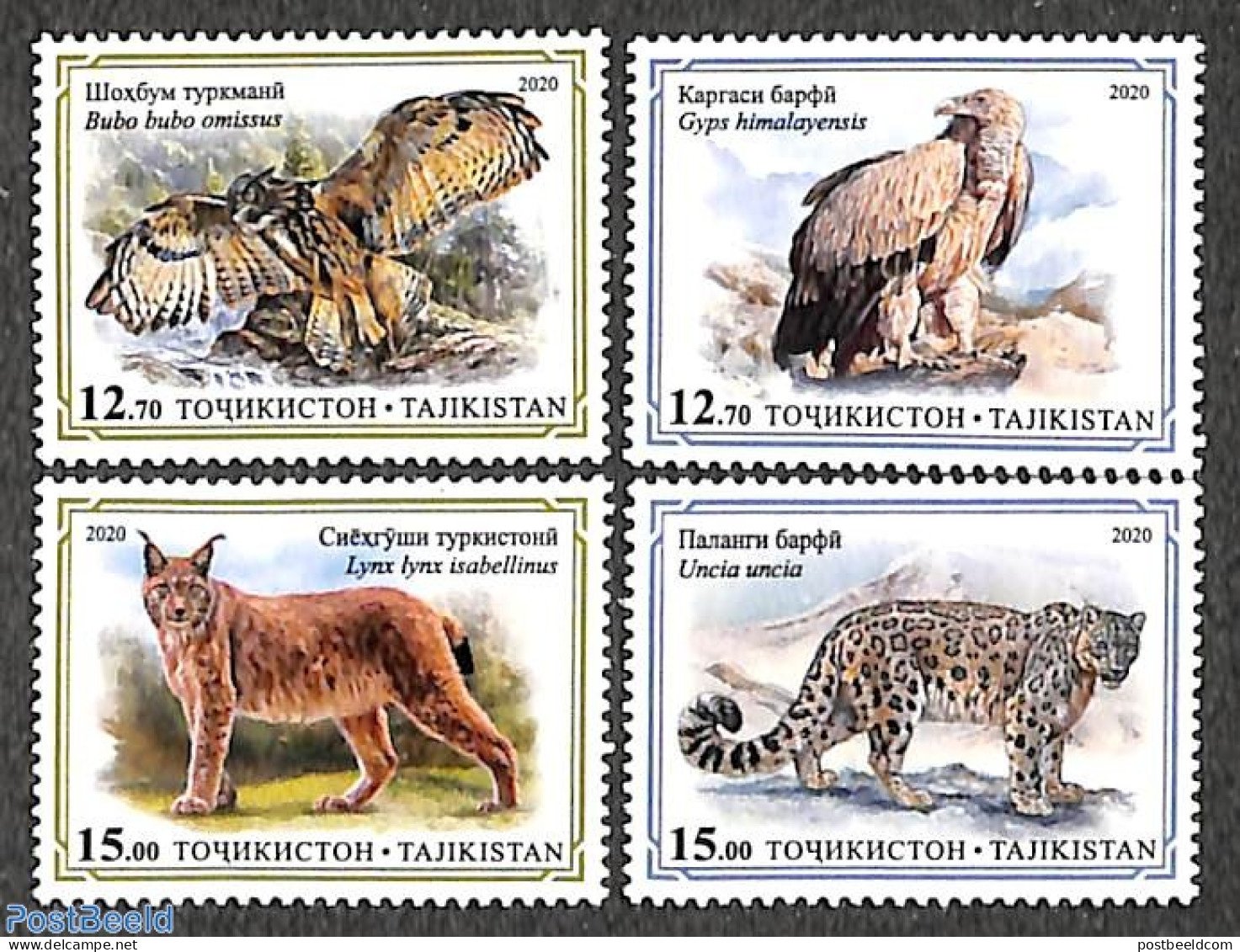 Tajikistan 2020 Animals 4v, Mint NH, Nature - Animals (others & Mixed) - Birds - Birds Of Prey - Cat Family - Tagikistan