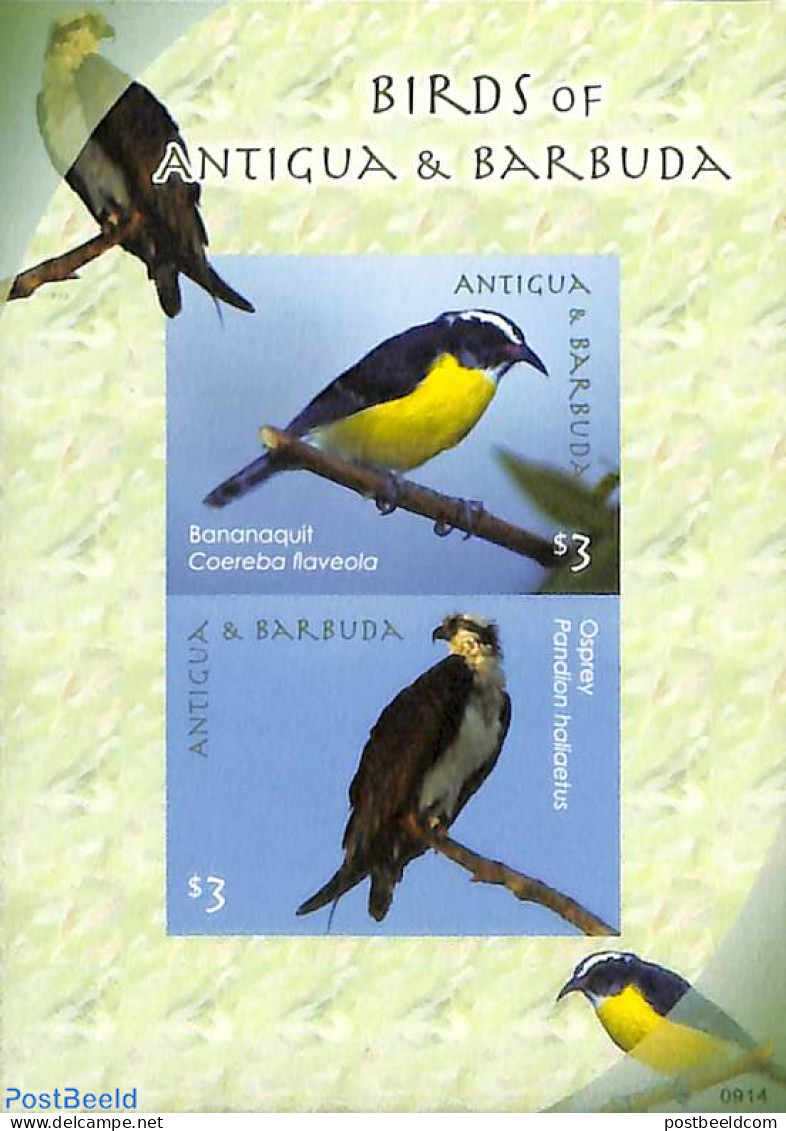 Antigua & Barbuda 2009 Birds S/s, Imperforated, Mint NH, Nature - Birds - Antigua And Barbuda (1981-...)
