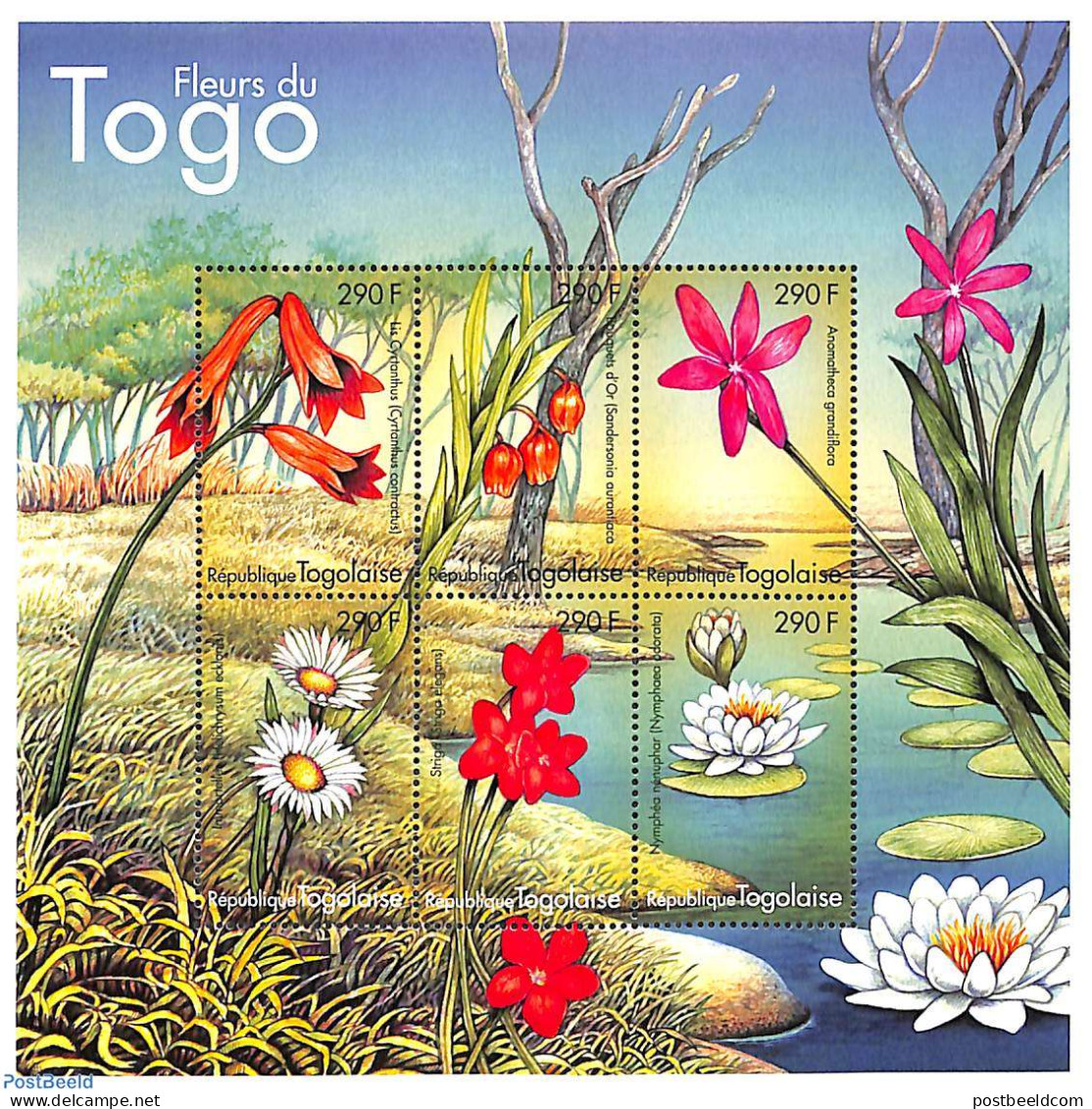 Togo 2000 African Flowers 6v M/s, Mint NH, Nature - Flowers & Plants - Togo (1960-...)