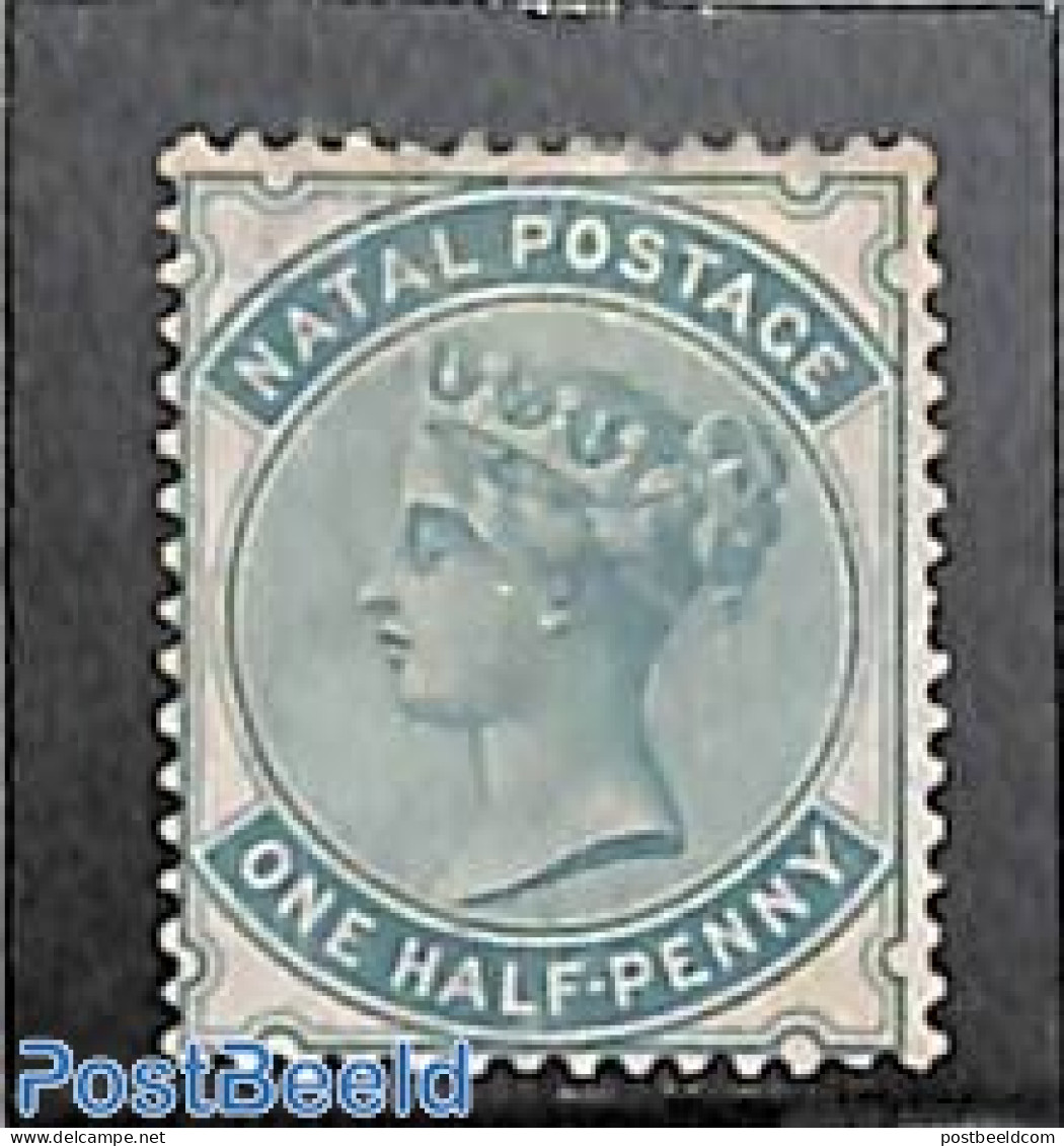Natal 1880 Queen Victoria 1v, Without Gum, Unused (hinged) - Natal (1857-1909)