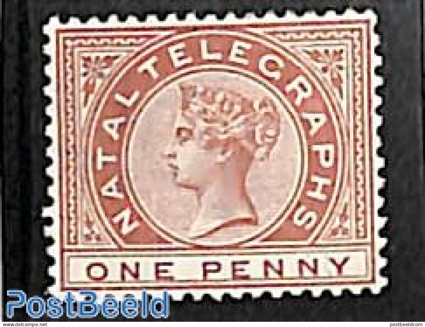 Natal 1881 Telegraph 1d, Stamp Out Of Set, Unused (hinged) - Natal (1857-1909)