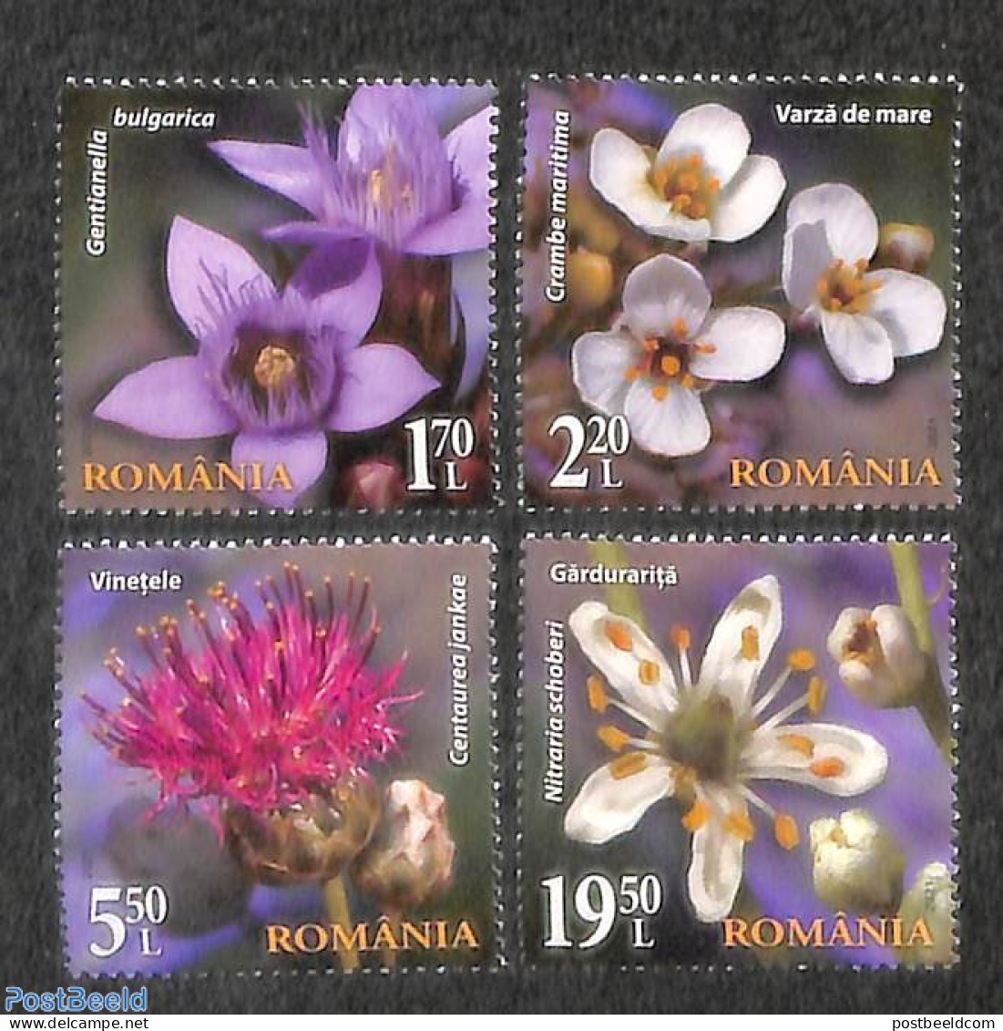 Romania 2021 Wild Flora 4v, Mint NH, Nature - Flowers & Plants - Neufs