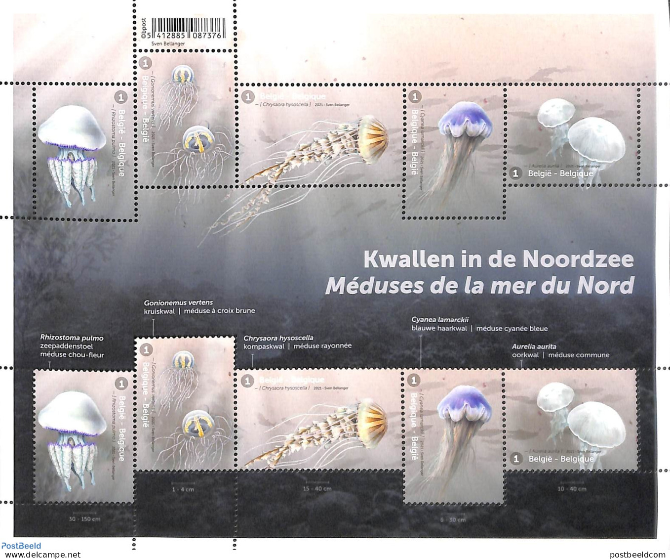Belgium 2021 Jellyfish From The Northsea M/s, Mint NH - Ongebruikt