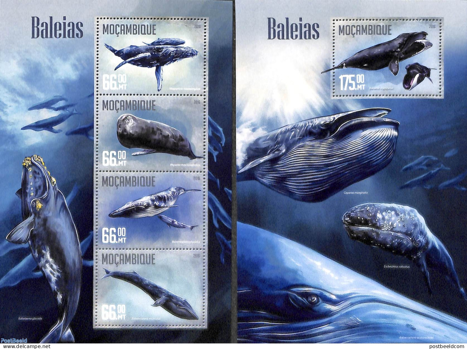 Mozambique 2016 Whales 2 S/s, Mint NH, Nature - Sea Mammals - Mozambique