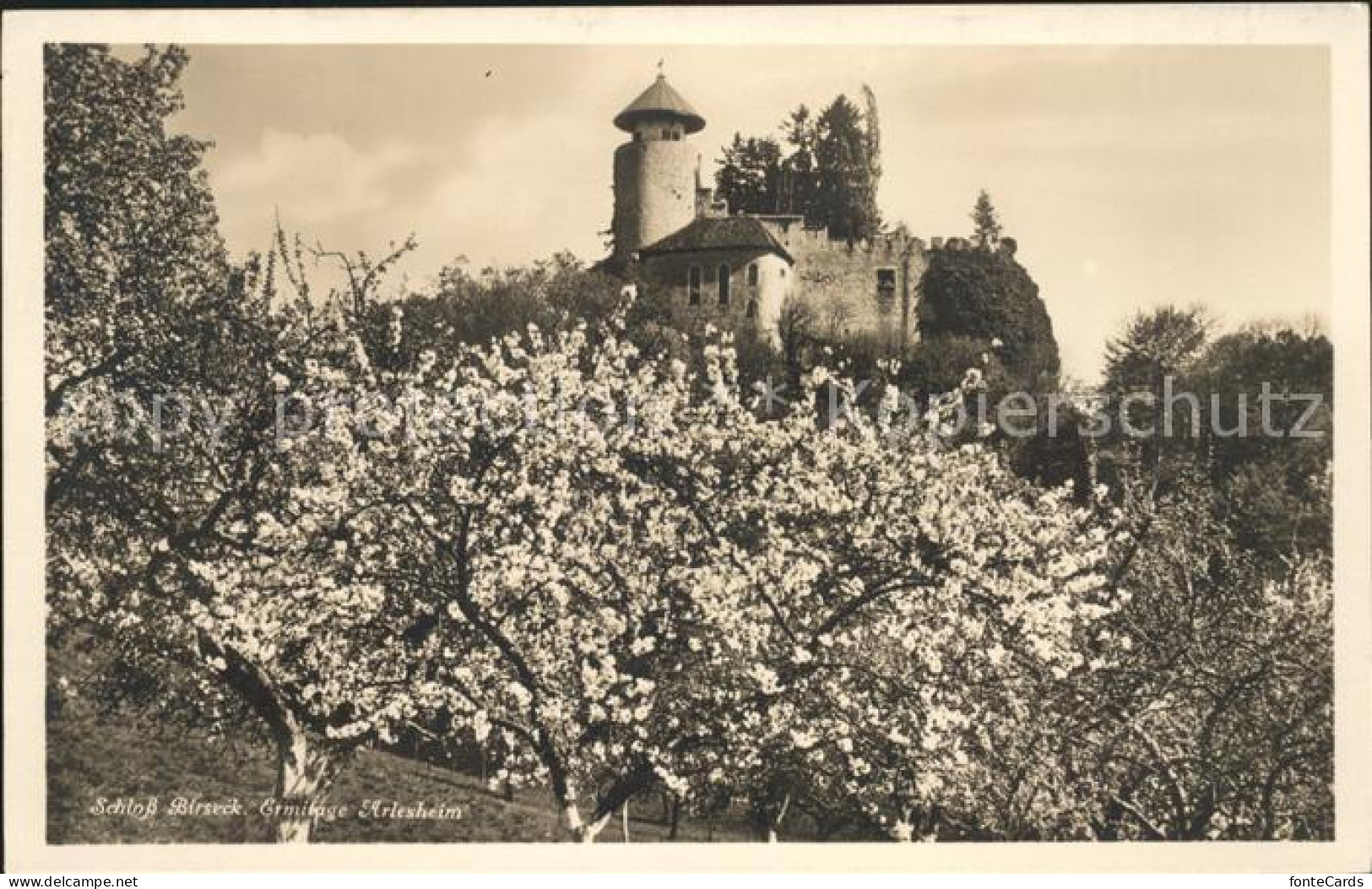 11667531 Birseck Schloss Birseck Ermitage Arlesheim Arlesheim - Otros & Sin Clasificación