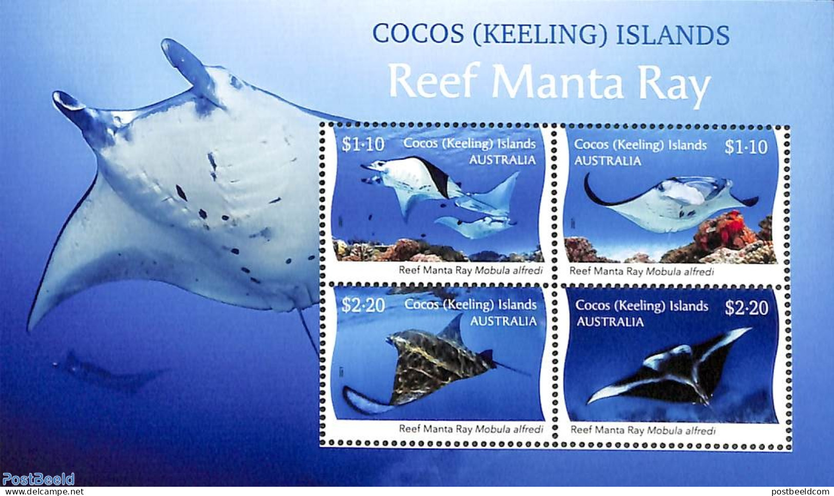 Cocos Islands 2021 Reef Manta Ray S/s, Mint NH, Nature - Fish - Peces