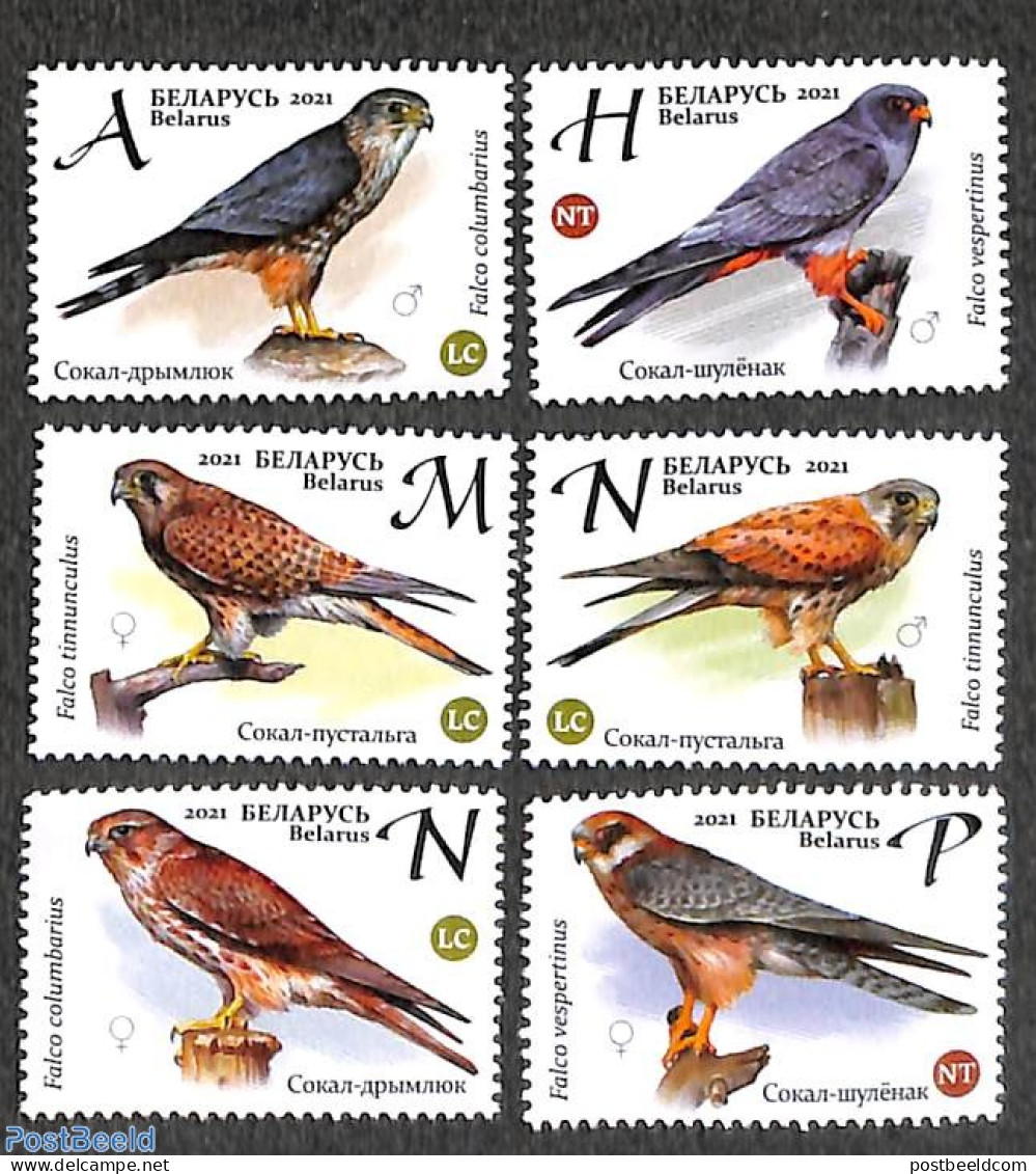 Belarus 2021 Falcons 6v, Mint NH, Nature - Birds - Birds Of Prey - Bielorrusia