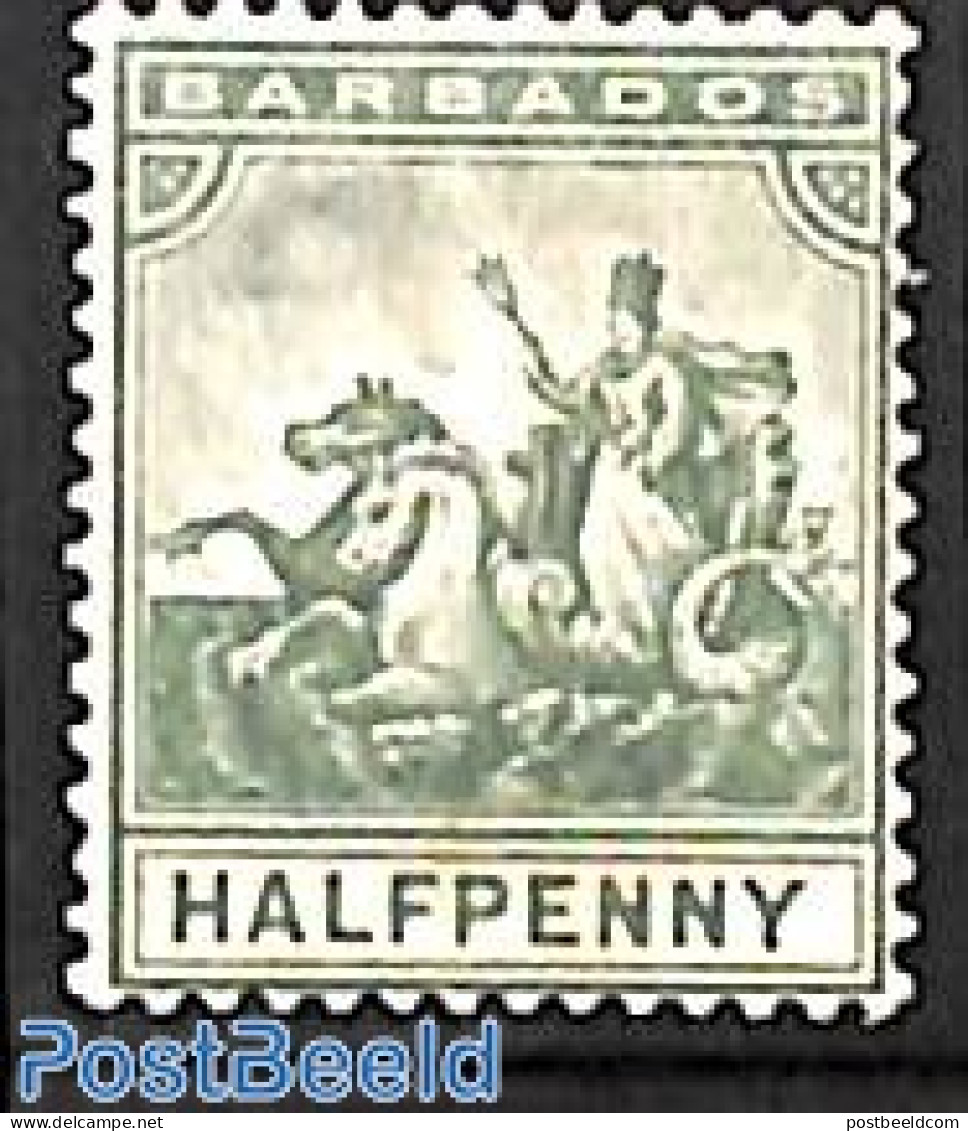 Barbados 1905 1/2d, WM Mult. Crown-CA, Stamp Out Of Set, Unused (hinged), Nature - Horses - Barbades (1966-...)