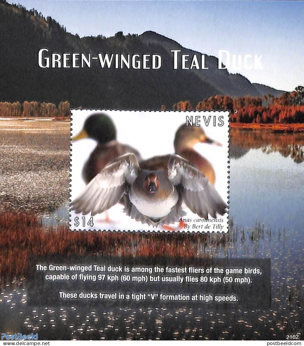 Nevis 2021 Green Winged Teal Duck S/s, Mint NH, Nature - Birds - Ducks - St.Kitts Und Nevis ( 1983-...)