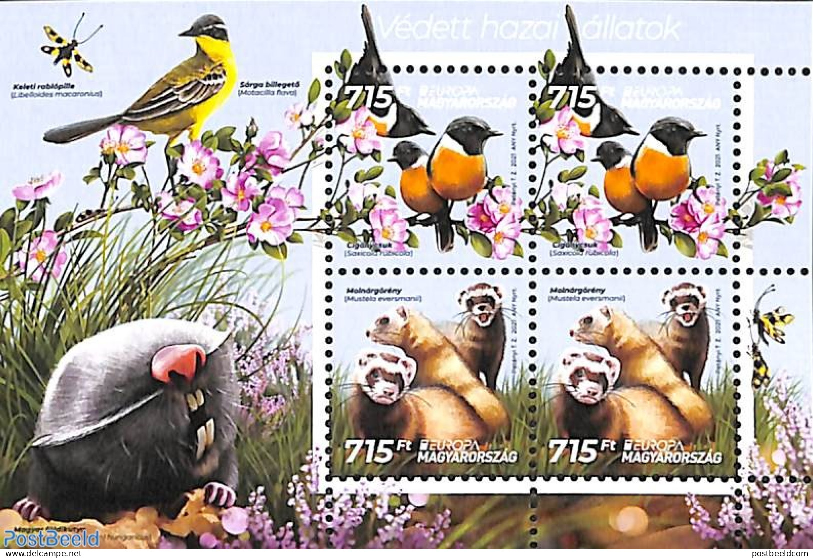 Hungary 2021 Europa, Endangered Animals S/s, Mint NH, History - Nature - Europa (cept) - Animals (others & Mixed) - Bi.. - Nuevos