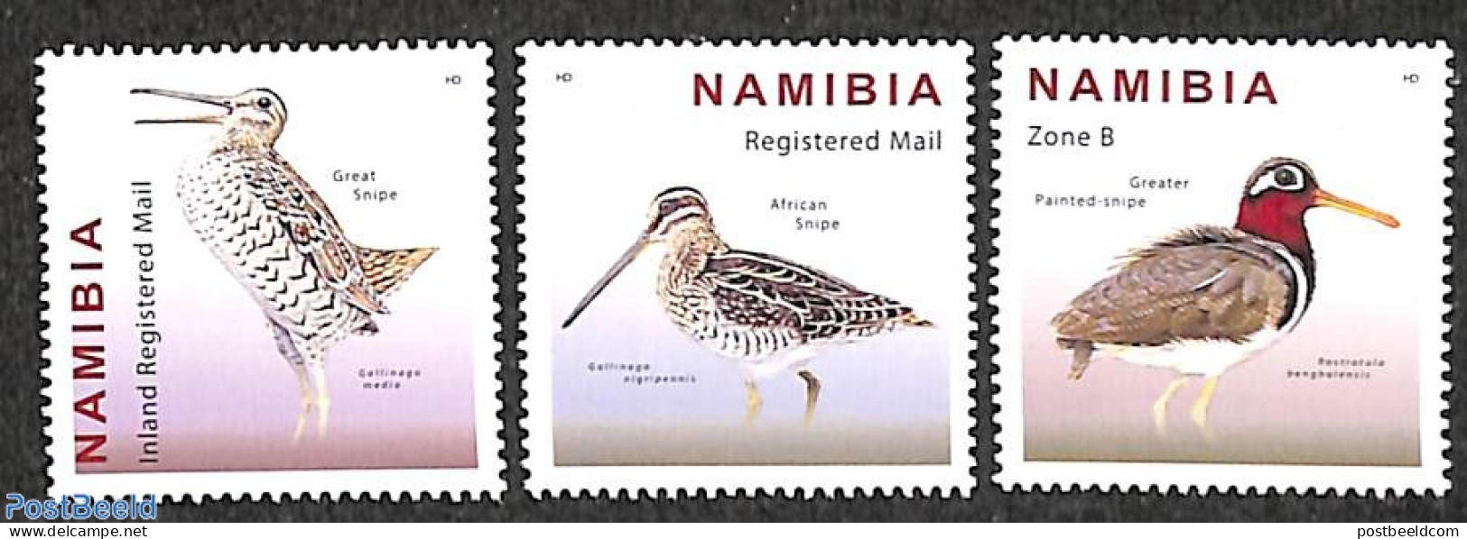 Namibia 2021 Birds 3v, Mint NH, Nature - Birds - Namibië (1990- ...)