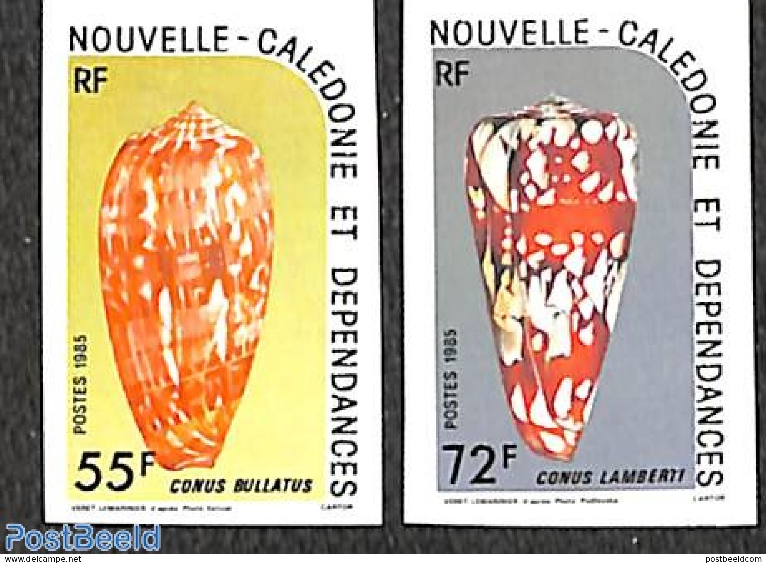 New Caledonia 1985 Shells 2v, Imperforated, Mint NH, Nature - Shells & Crustaceans - Nuevos