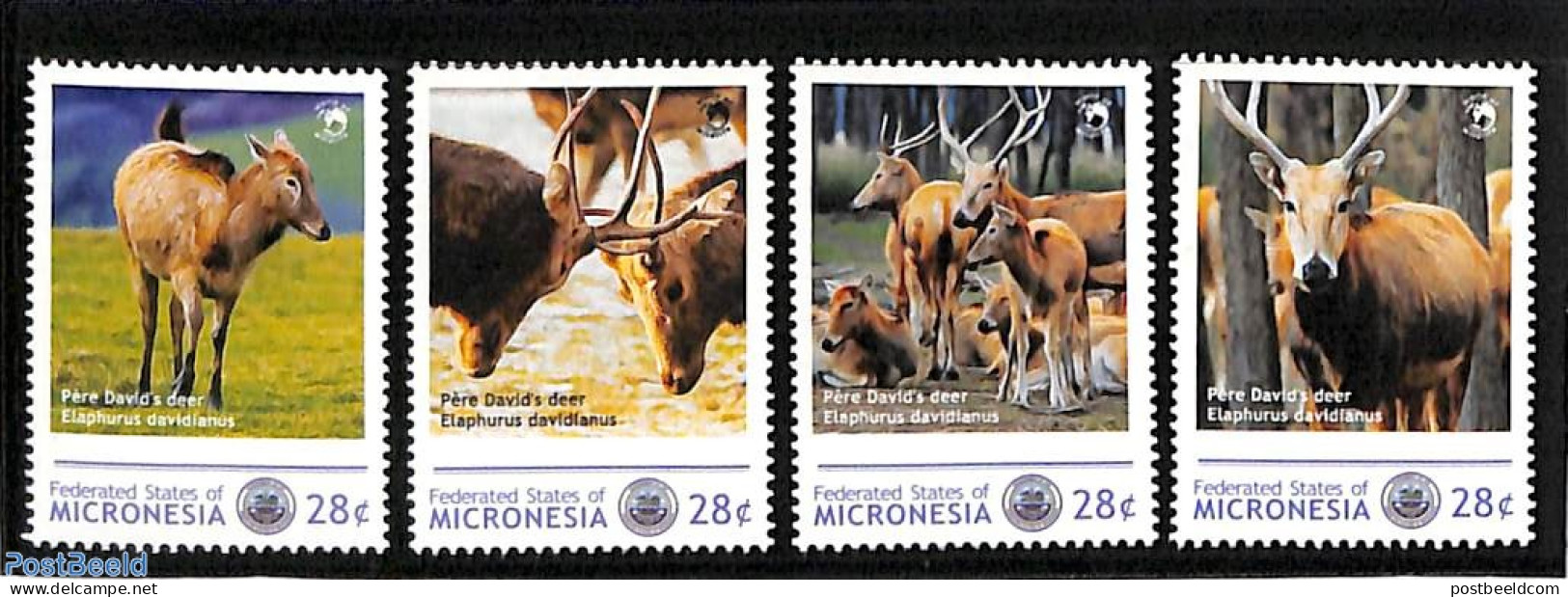 Micronesia 2012 Personal Stamp Set 4v, Mint NH, Nature - Animals (others & Mixed) - Deer - Mikronesien