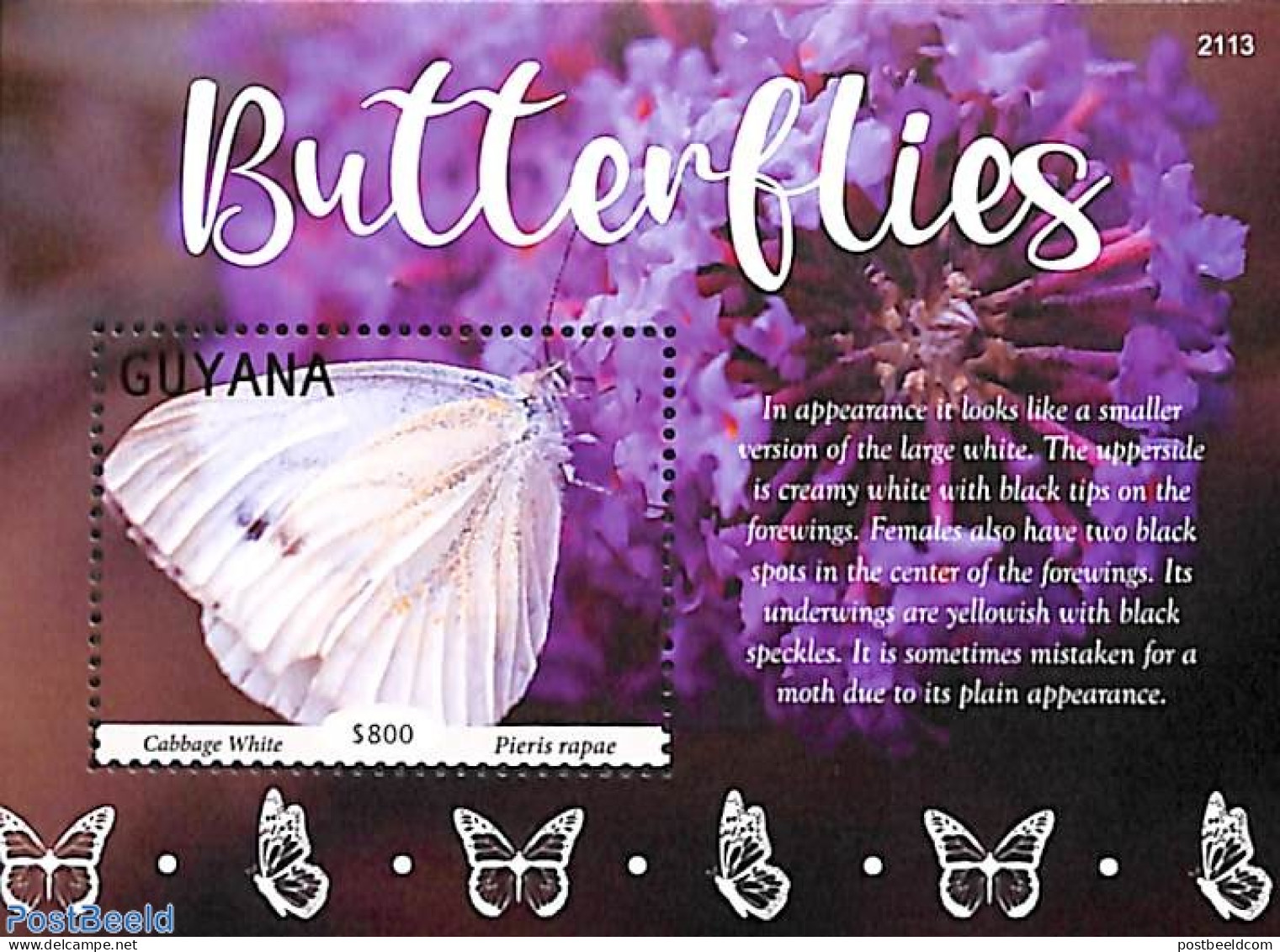Guyana 2021 Butterflies S/s, Mint NH, Nature - Butterflies - Guyane (1966-...)