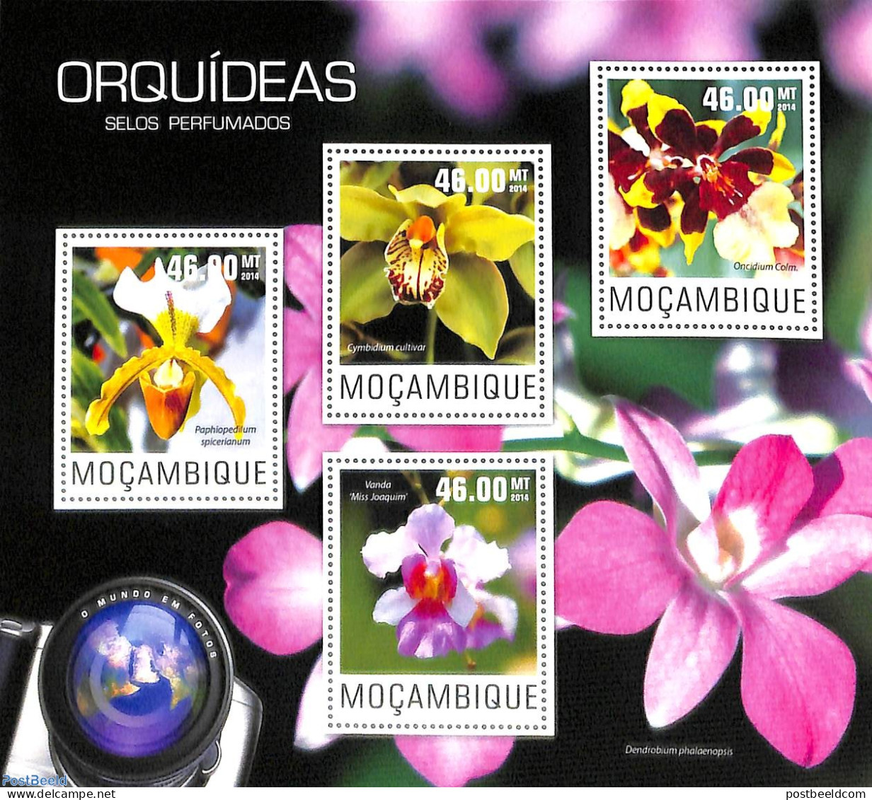 Mozambique 2014 Orchids 4v M/s, Mint NH, Nature - Flowers & Plants - Orchids - Mosambik