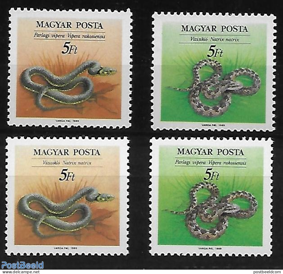 Hungary 1989 4 V. With Different Descriptions., Mint NH, Nature - Various - Animals (others & Mixed) - Snakes - Errors.. - Ungebraucht