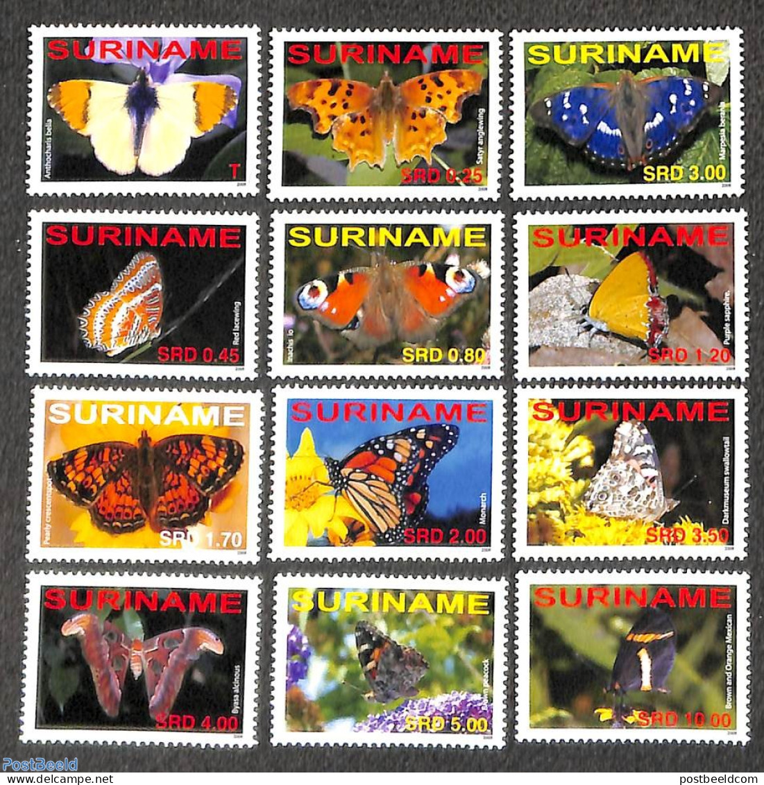 Suriname, Republic 2008 Butterflies 12v, Mint NH, Nature - Butterflies - Surinam