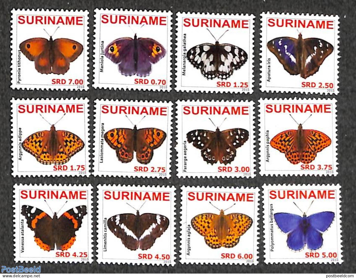 Suriname, Republic 2010 Butterflies 12v, Mint NH, Nature - Butterflies - Suriname