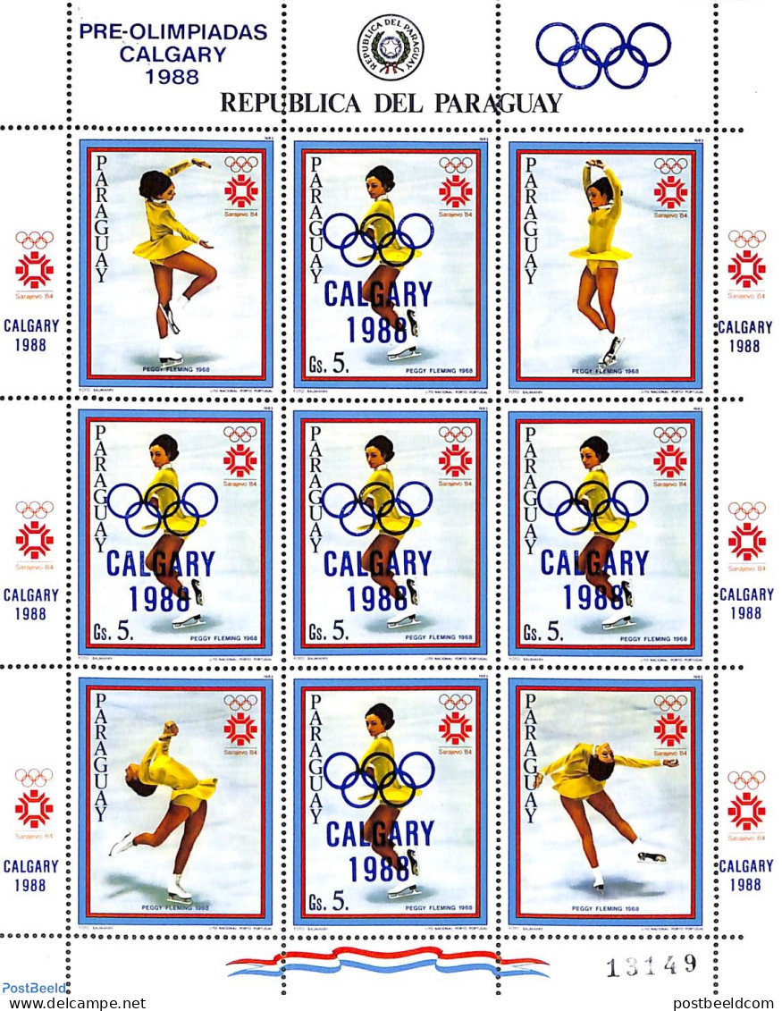 Paraguay 1986 Olympic Winter Games M/s, Mint NH, Sport - Olympic Winter Games - Skating - Paraguay