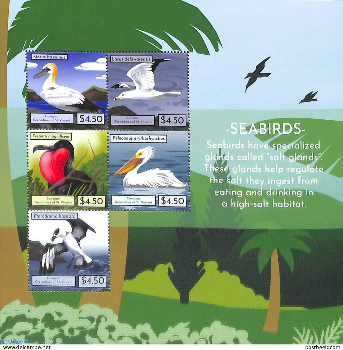 Saint Vincent & The Grenadines 2021 Canouan, Seabirds 5v M/s, Mint NH, Nature - Birds - St.Vincent & Grenadines