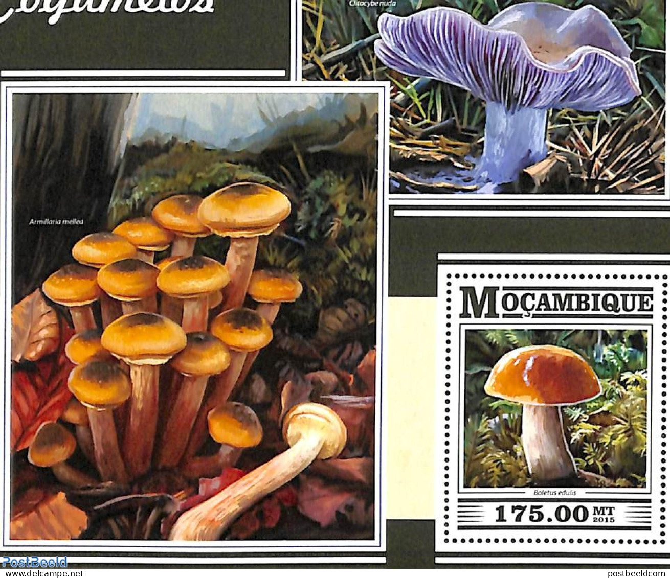 Mozambique 2015 Mushrooms S/s, Mint NH, Nature - Mushrooms - Champignons