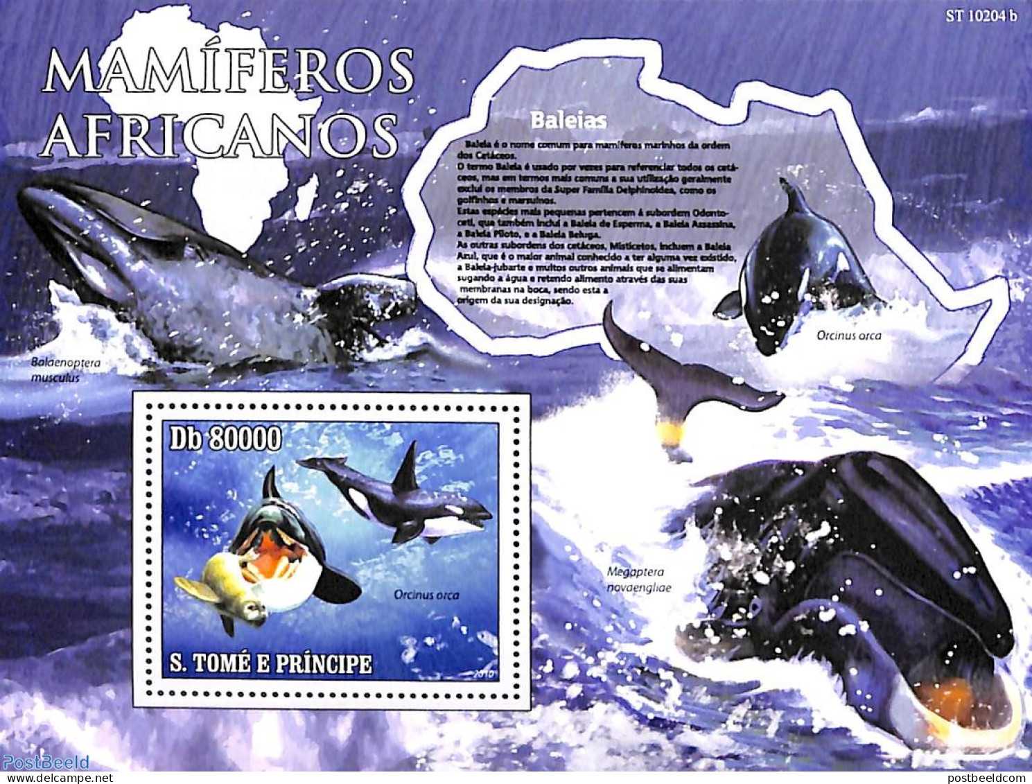 Sao Tome/Principe 2010 Sea Mammals S/s, Mint NH, Nature - Sea Mammals - Sao Tome Et Principe