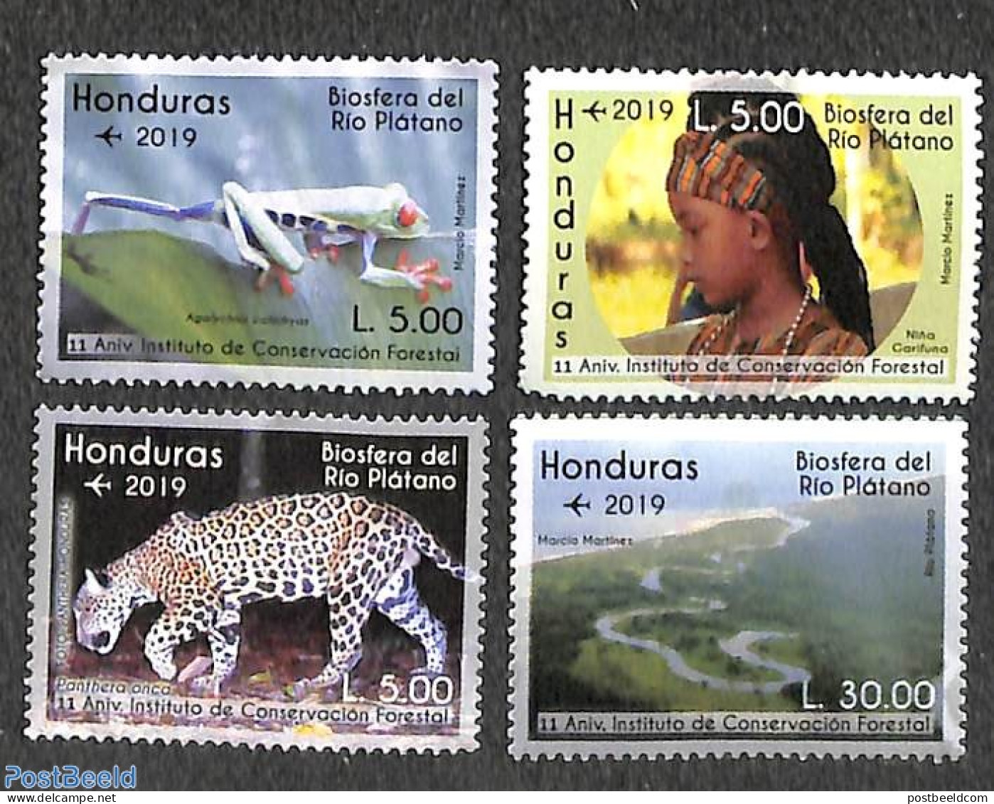 Honduras 2019 Rio Platano Biosphere 4v, Mint NH, Nature - Cat Family - Environment - Frogs & Toads - Environment & Climate Protection