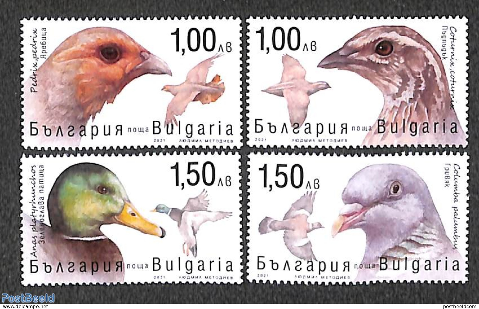 Bulgaria 2021 Birds 4v, Mint NH, Nature - Birds - Ducks - Poultry - Pigeons - Nuevos