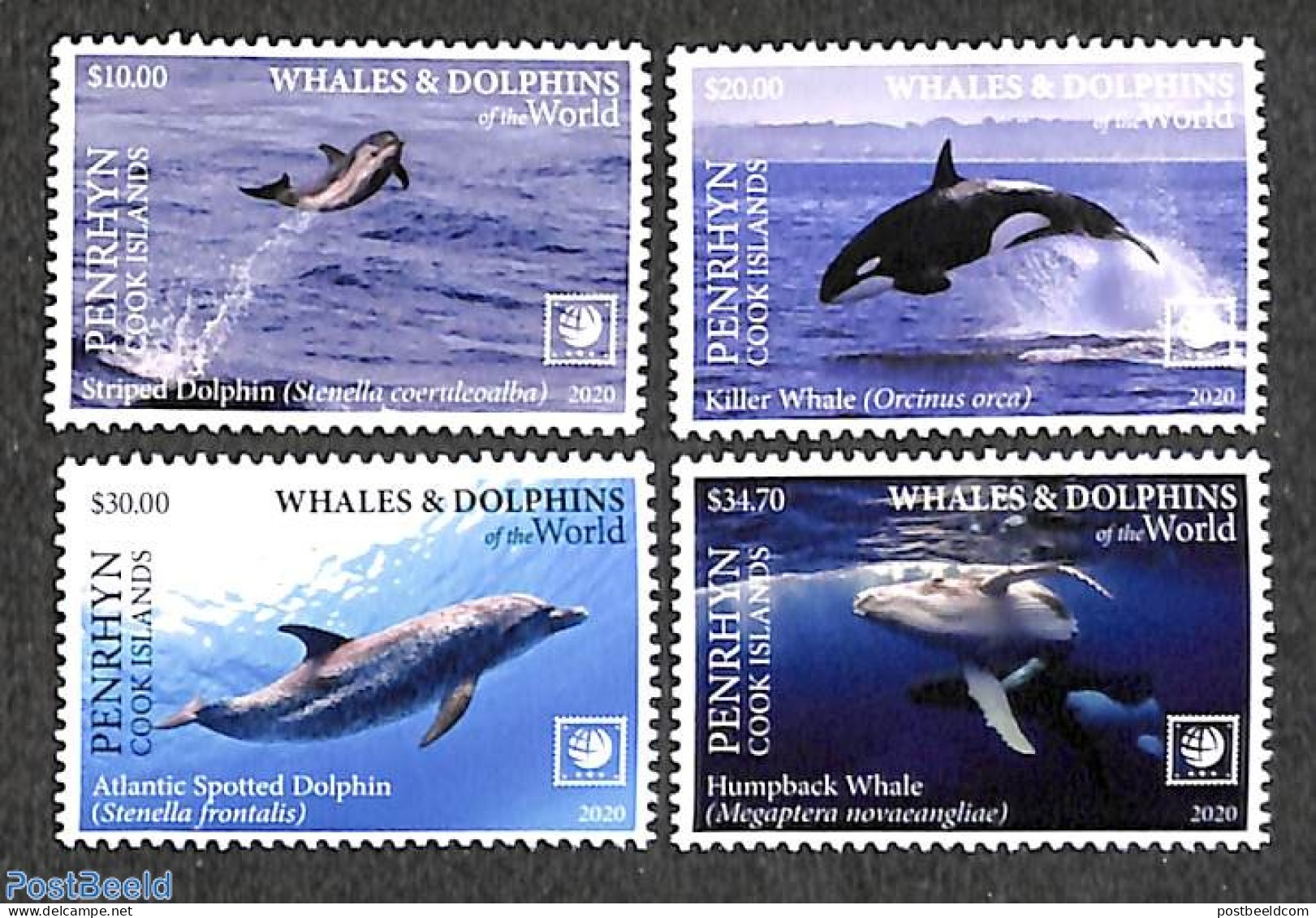 Penrhyn 2020 Whales & Dolphins 4v, Mint NH, Nature - Sea Mammals - Penrhyn