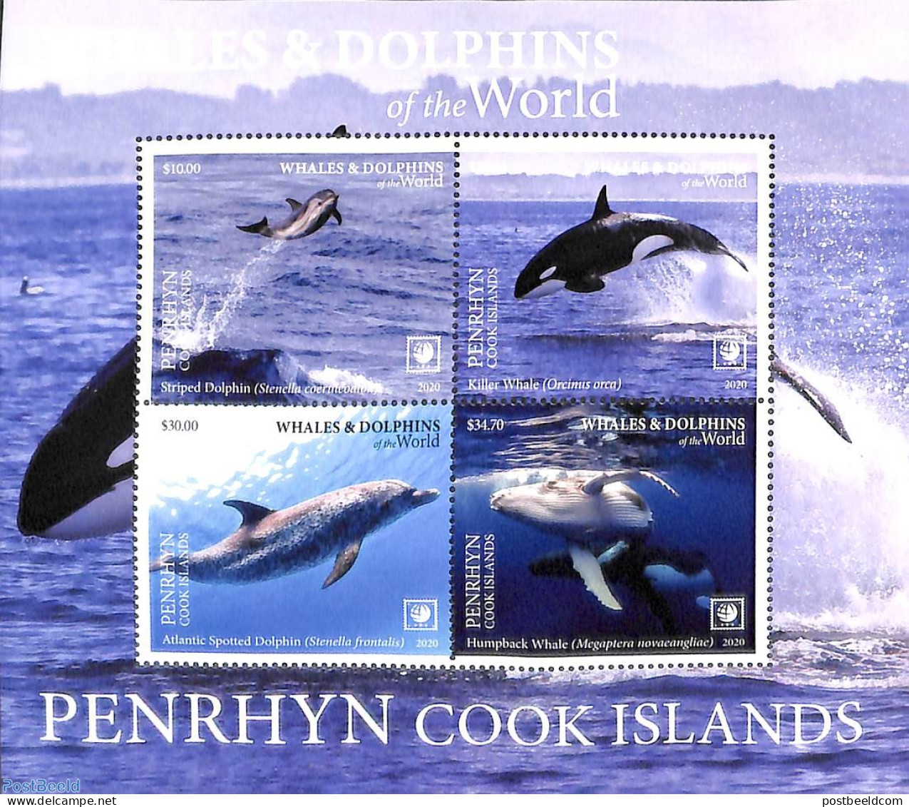 Penrhyn 2020 Whales & Dolphins 4v M/s, Mint NH, Nature - Sea Mammals - Penrhyn
