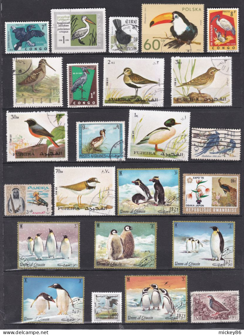 Thème  Oiseaux  -- Lot De 34  Timbres .....  Oiseaux Divers ..............à Saisir - Collezioni & Lotti