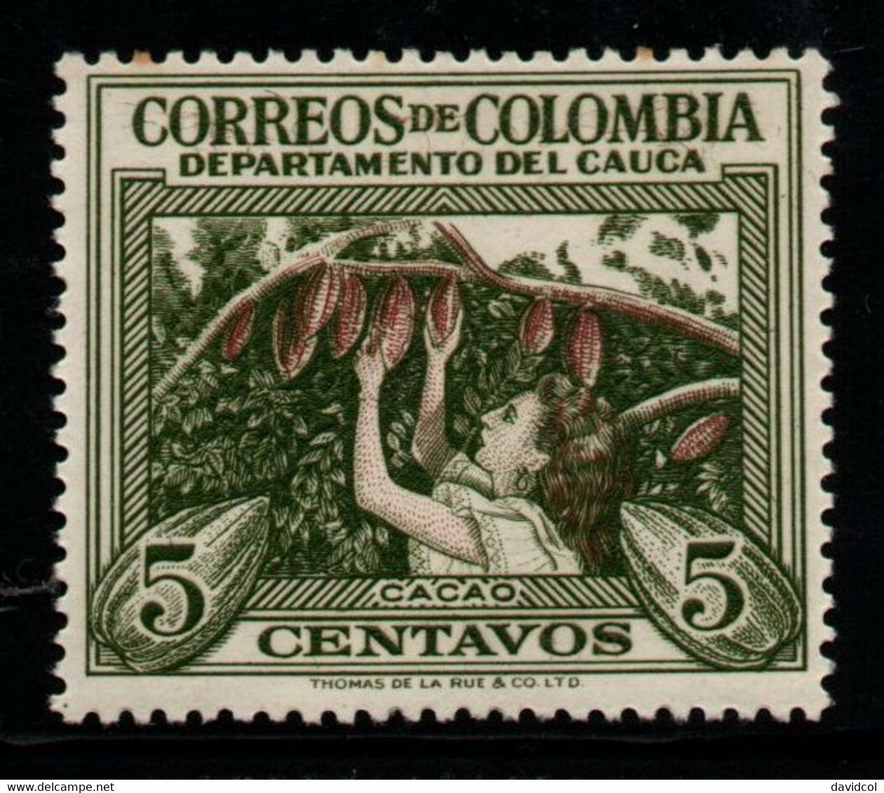 01J- KOLUMBIEN - 1956 - MI#: 773 - MNH - CAUCA / COCOA CROPS - COLOMBIAN DEPARTMENTS - Kolumbien