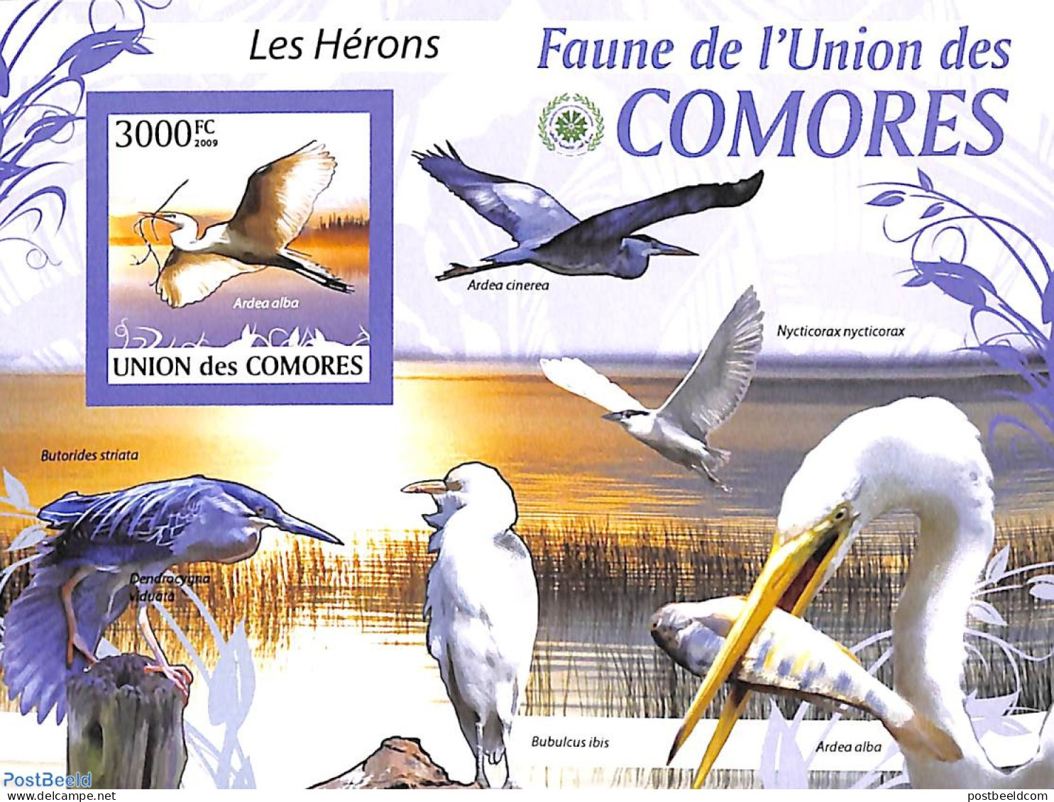 Comoros 2009 Herons S/s, Imperforated, Mint NH, Nature - Birds - Comoren (1975-...)
