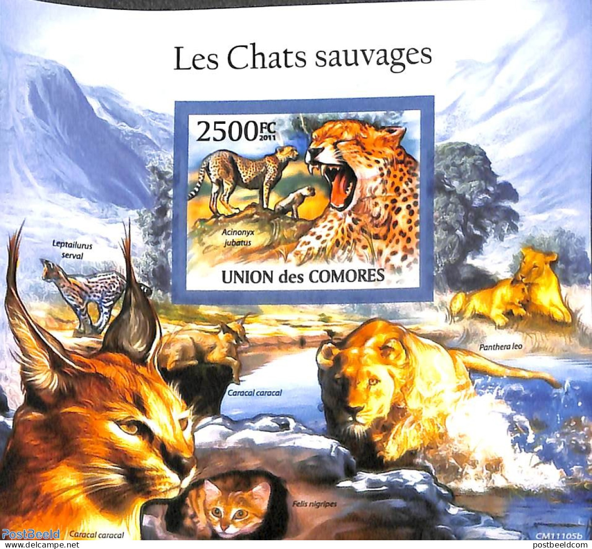 Comoros 2011 Wild Cats S/s, Imperforated, Mint NH, Nature - Cat Family - Komoren (1975-...)