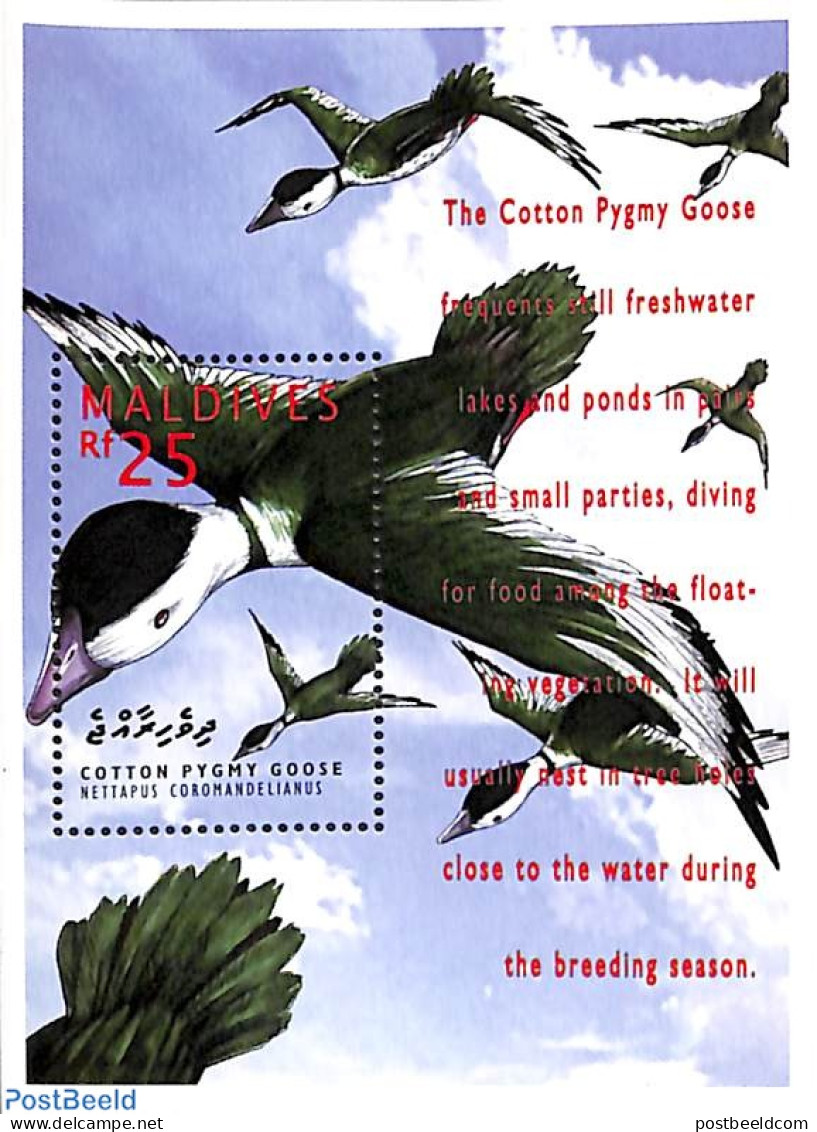 Maldives 1995 Cotton Pygmy Goose S/s, Mint NH, Nature - Birds - Maldive (1965-...)