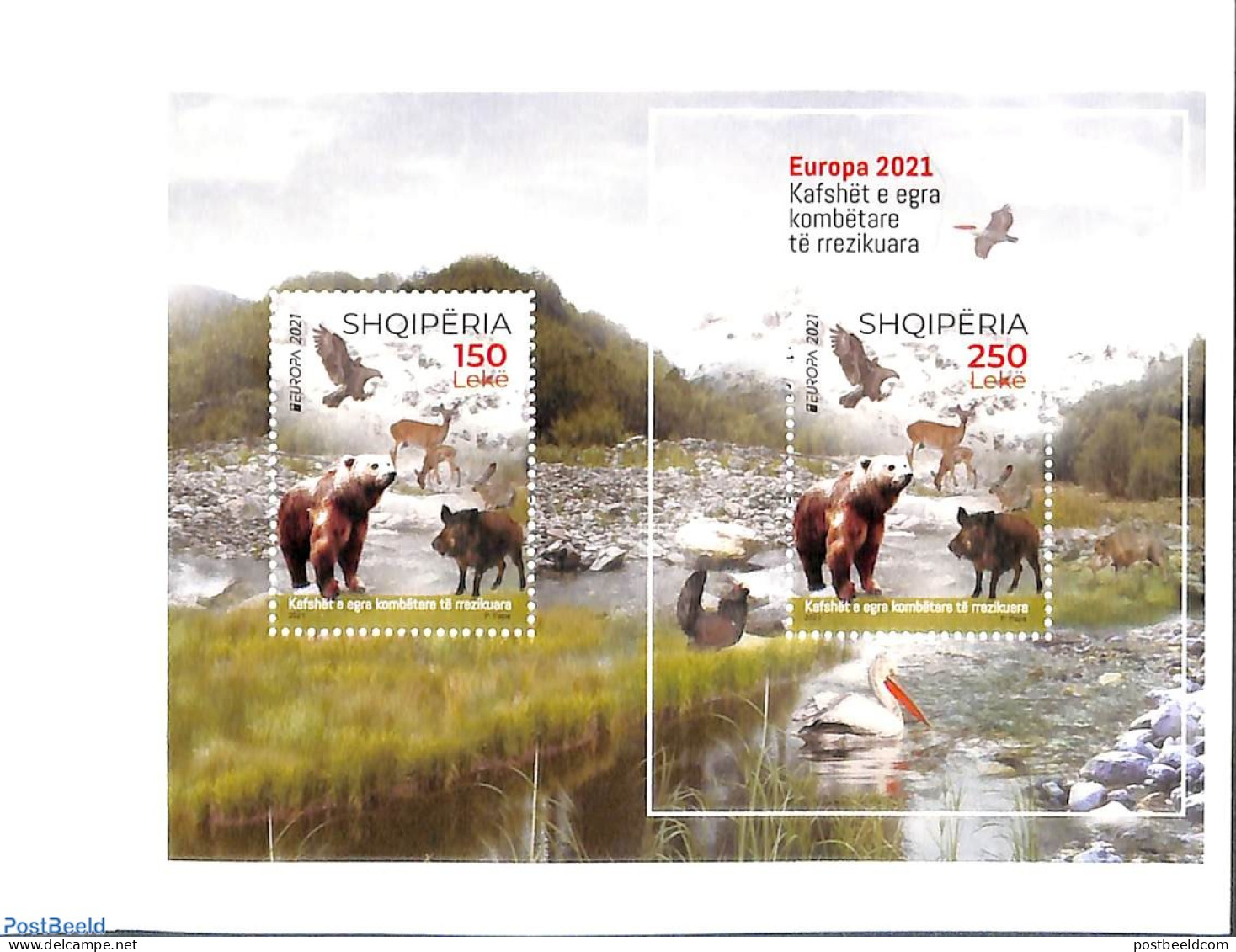 Albania 2021 Europa, Endangered Animals Booklet, Mint NH, History - Nature - Europa (cept) - Bears - Birds - Deer - Albanie