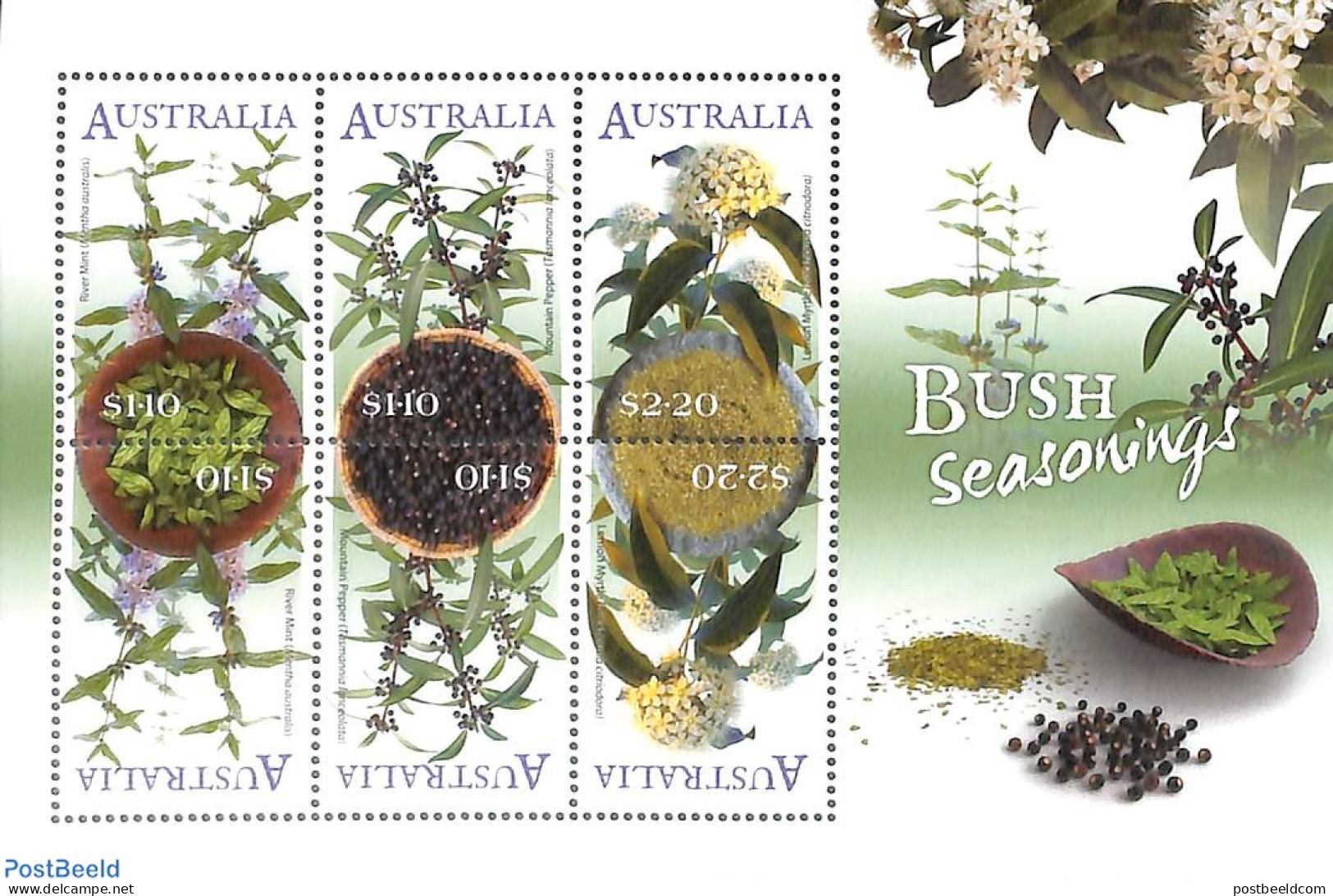 Australia 2022 Bush Seasonings 6v M/s, Mint NH, Nature - Flowers & Plants - Unused Stamps