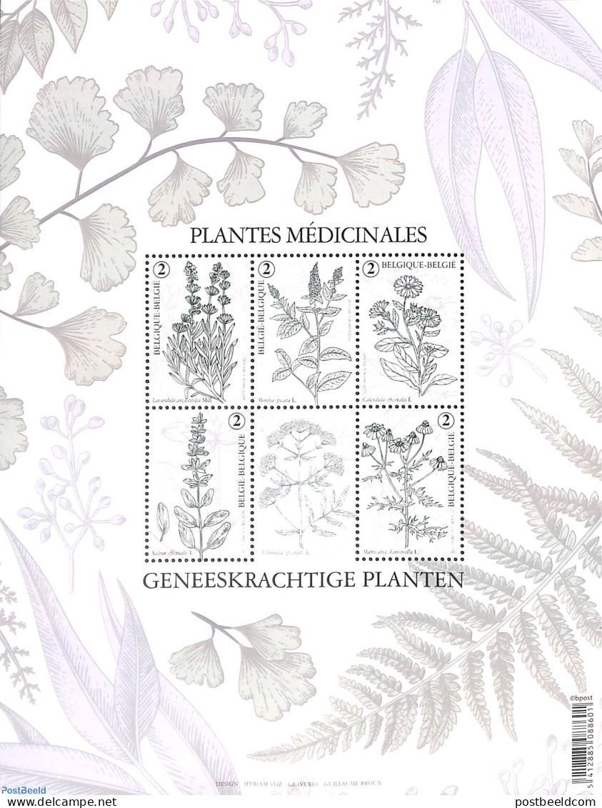 Belgium 2022 Medical Plants 6v M/s, Mint NH, Health - Nature - Health - Flowers & Plants - Unused Stamps