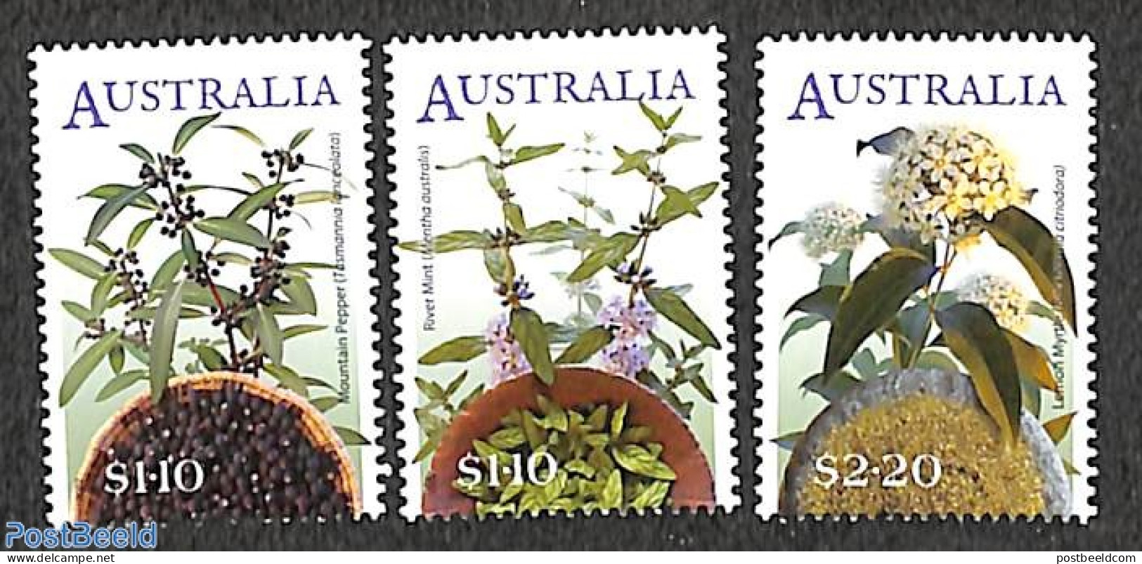 Australia 2022 Bush Seasonings 3v, Mint NH, Nature - Flowers & Plants - Unused Stamps