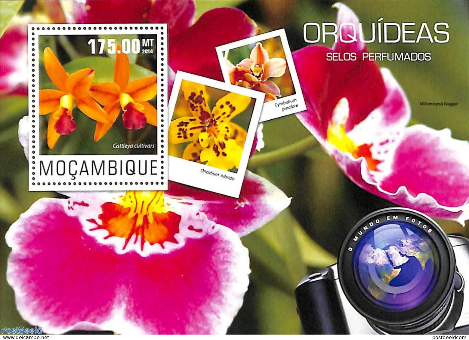 Mozambique 2014 Orchids S/s, Mint NH, Nature - Flowers & Plants - Orchids - Mozambico