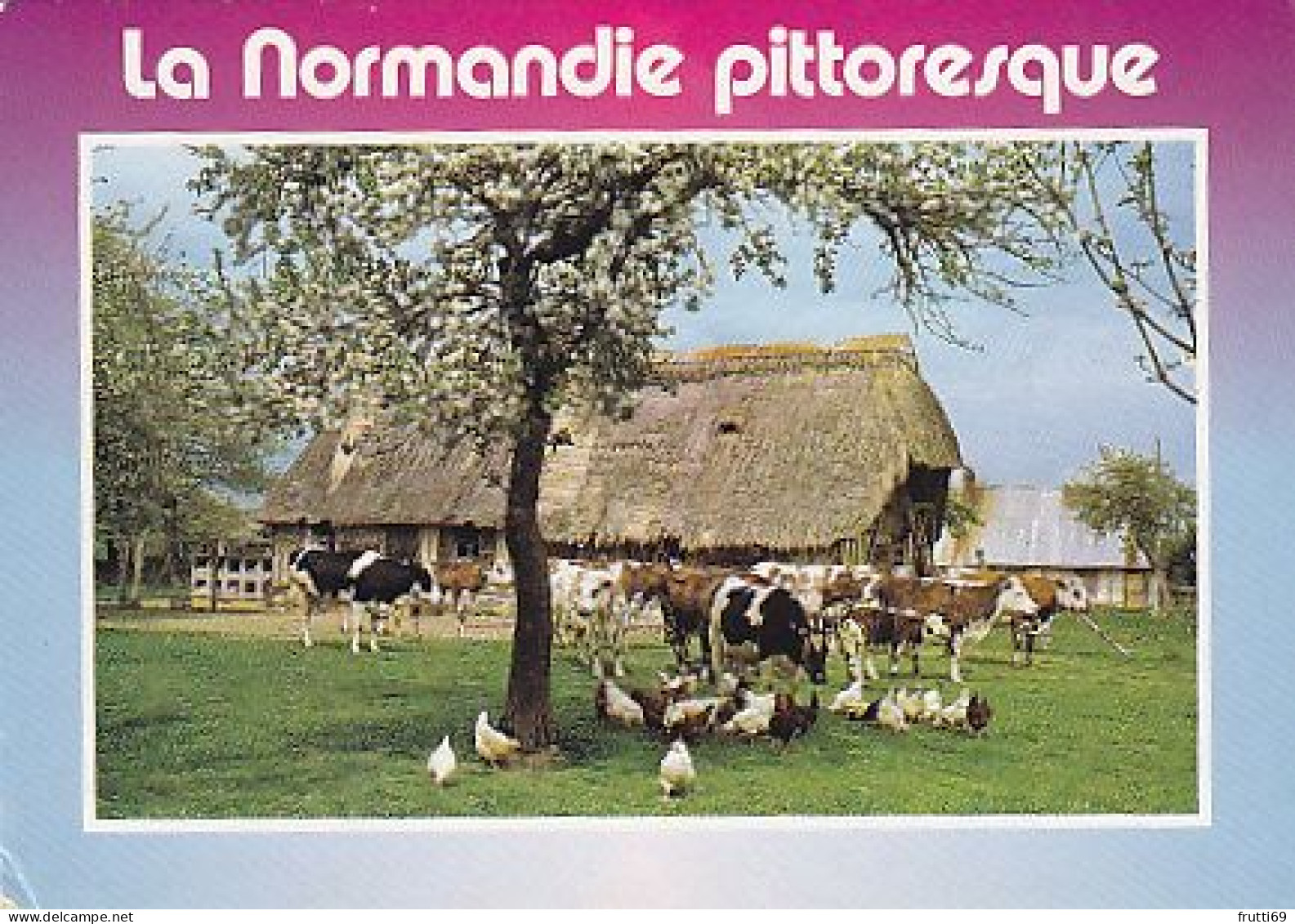 AK 210354 COW / KUH ... - La Normandie - Mucche