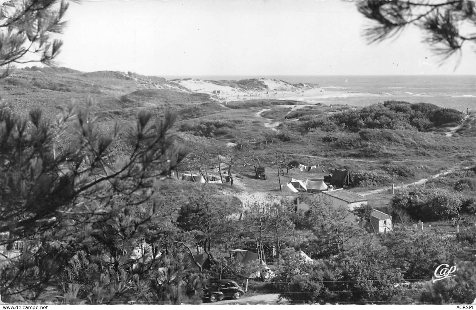 17 Saint Georges D’Oléron Domino Vue Générale Des Dunes  (Scans R/V) N° 23 \MO7001 - Ile D'Oléron