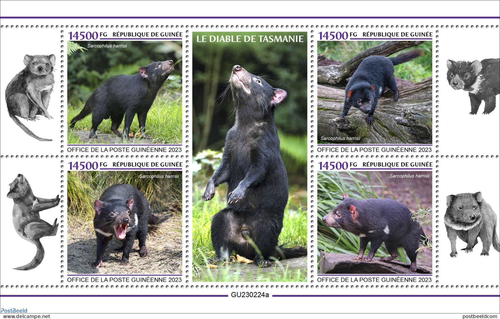 Guinea, Republic 2023 Tasmanian Devil, Mint NH, Nature - Animals (others & Mixed) - Wild Animals - Autres & Non Classés