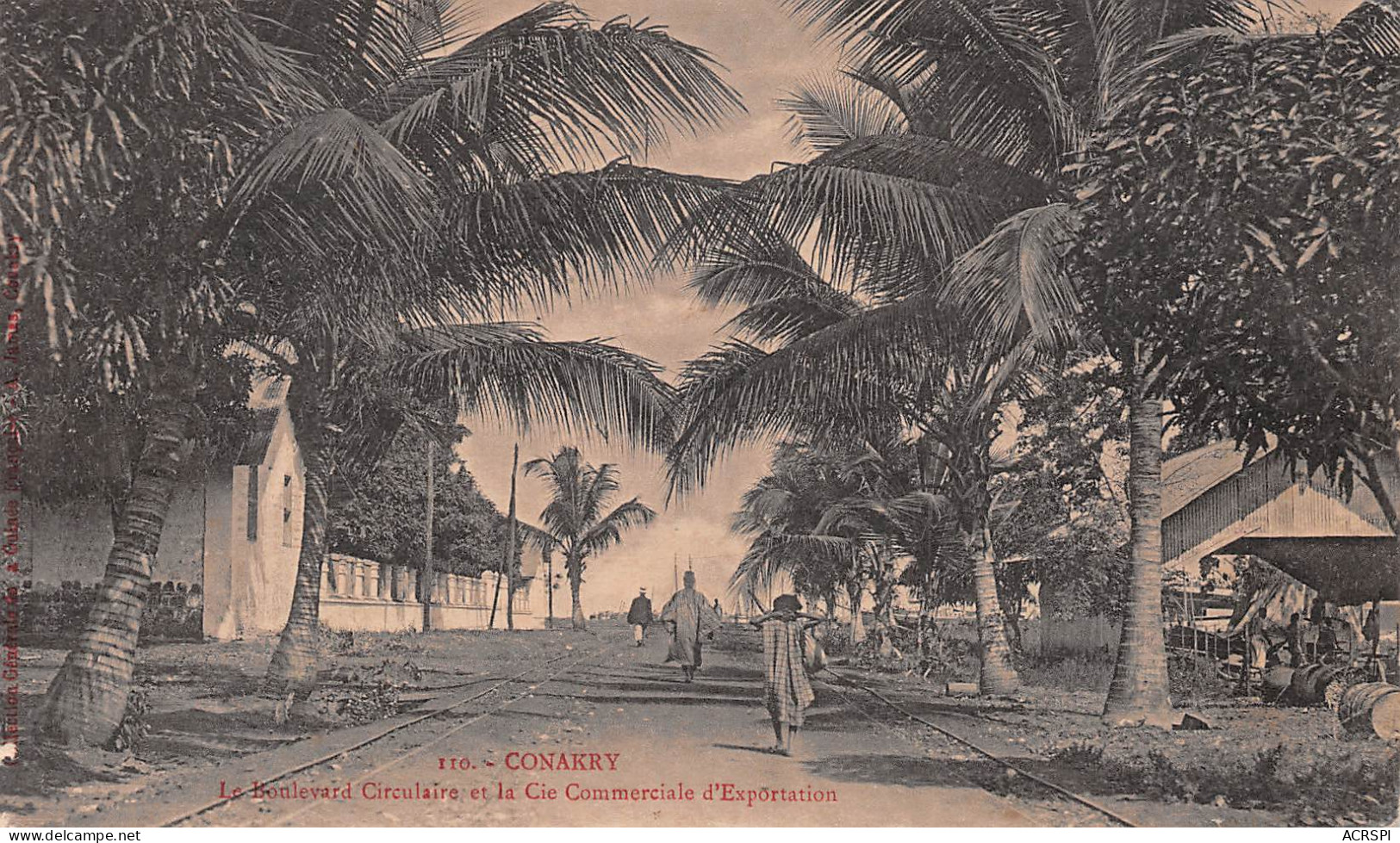 GUINEE Française Conakry Konakry Guinea Boulevard Circulaire Cie Commerciale D'Exportation  (Scans R/V) N° 51 \MO7006 - French Guinea
